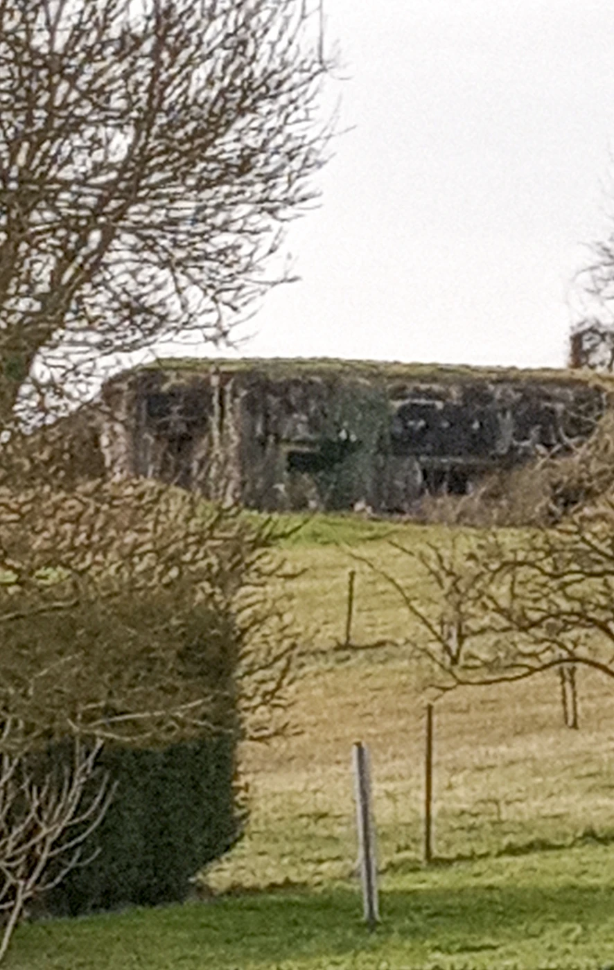 Ligne Maginot - DB47 - MB5 - ENTRE DEUX MONTS - (Blockhaus pour canon) - Le blockhaus au fond du jardin - Alexis Locatelli