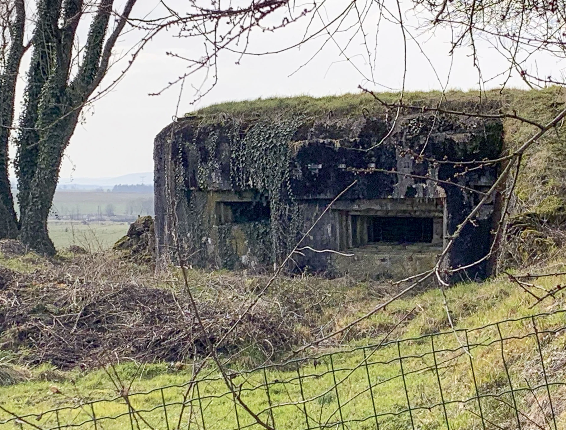 Ligne Maginot - DB47 - MB5 - ENTRE DEUX MONTS - (Blockhaus pour canon) -  - Alexis Locatelli