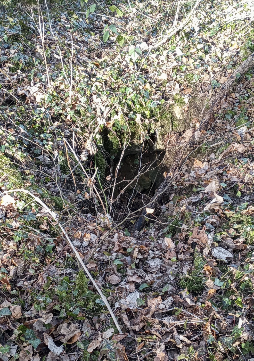 Ligne Maginot - DT33 - MM168 - (Cuve pour arme d'infanterie) -  - Alexis Locatelli