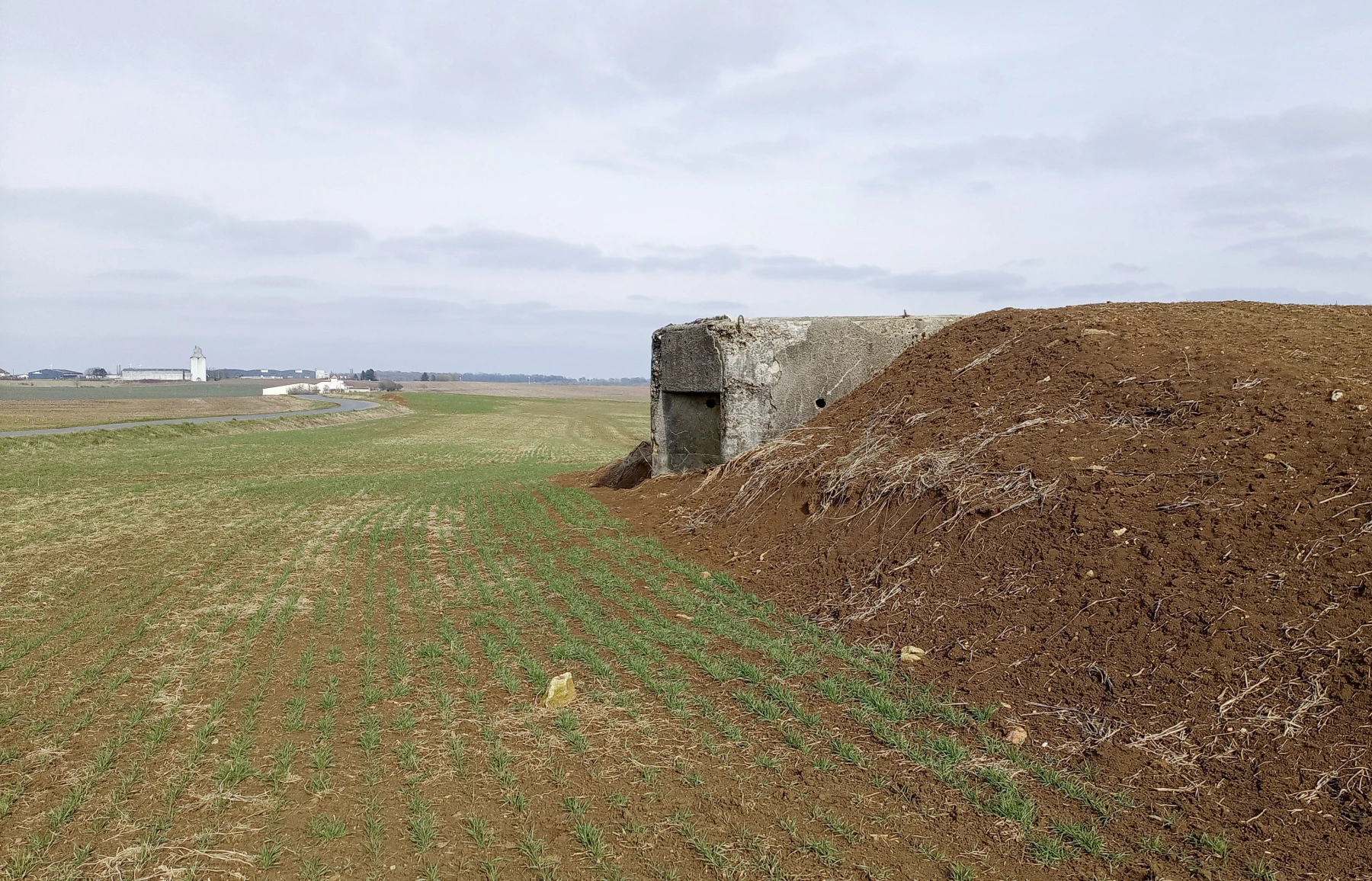 Ligne Maginot - DB42 - PETITE BONDE - (Blockhaus pour arme infanterie) -  - Marc Fossoul