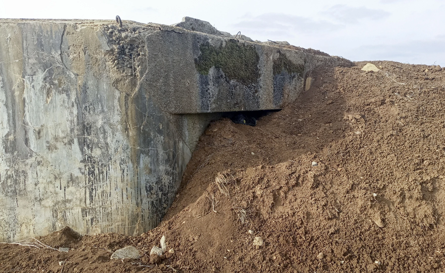 Ligne Maginot - DB42 - PETITE BONDE - (Blockhaus pour arme infanterie) - Créneau obstrué - Marc Fossoul