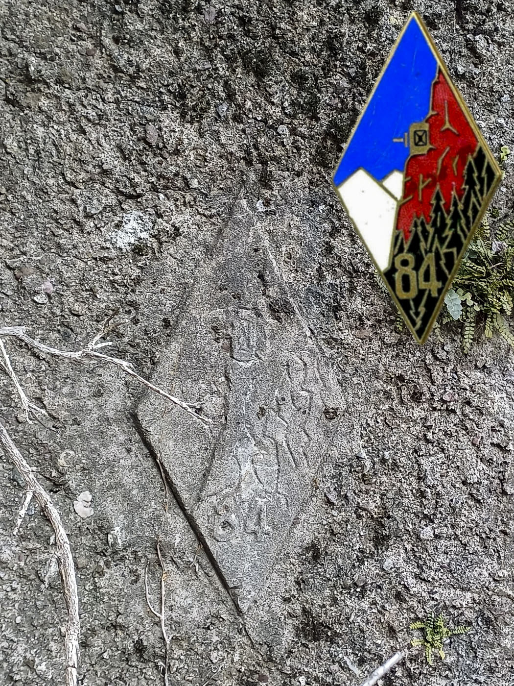 Ligne Maginot - VALABRES - (Blockhaus pour arme infanterie) - À droite de l'entrée
Cartouche dans le ciment, représentant l'insigne du 84° Bataillon Alpin de Forteresse. - GREBOVAL Simon