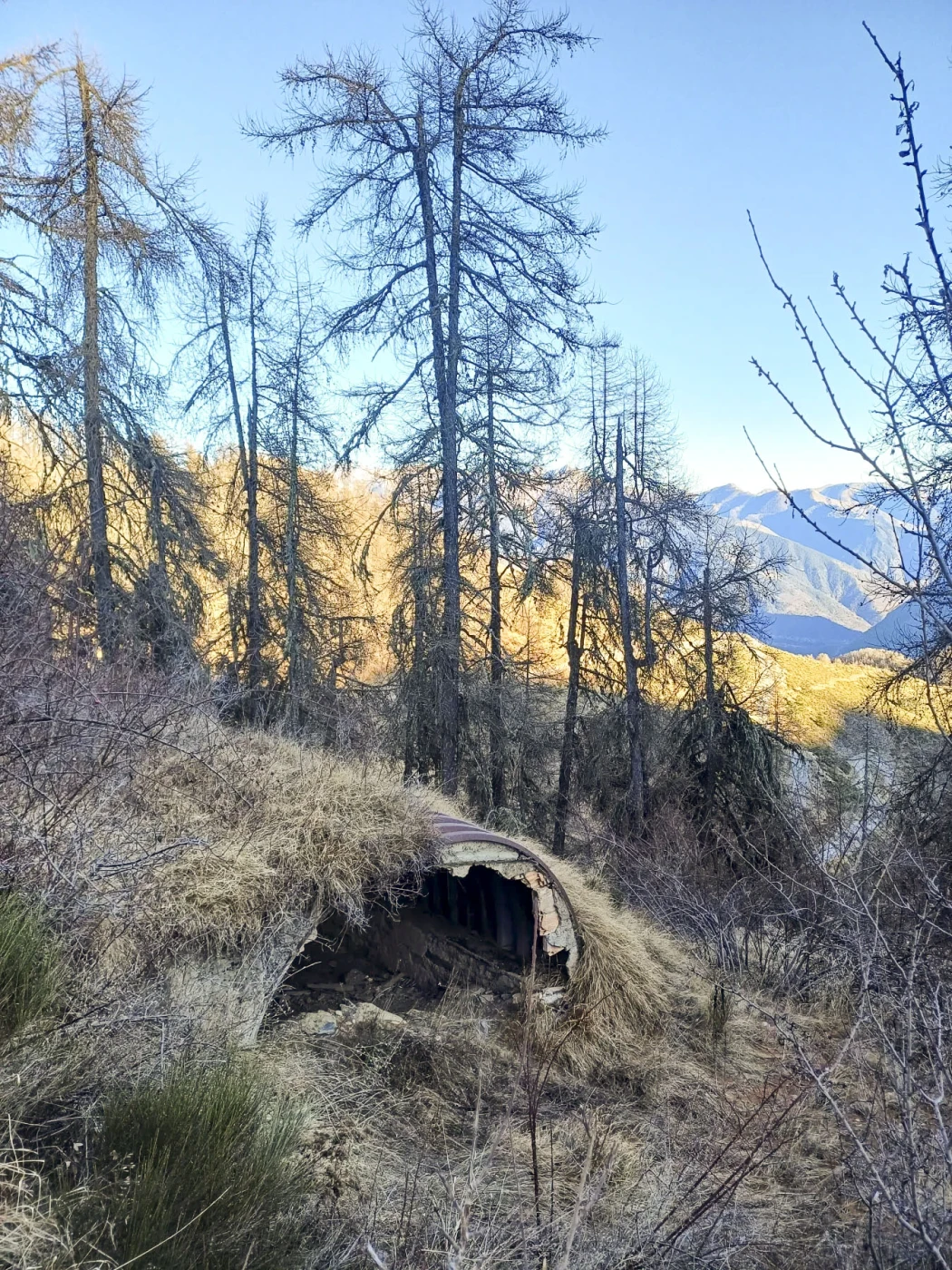 Ligne Maginot - PIC DE LA COLMIANE - (Abri) -  - GREBOVAL Simon