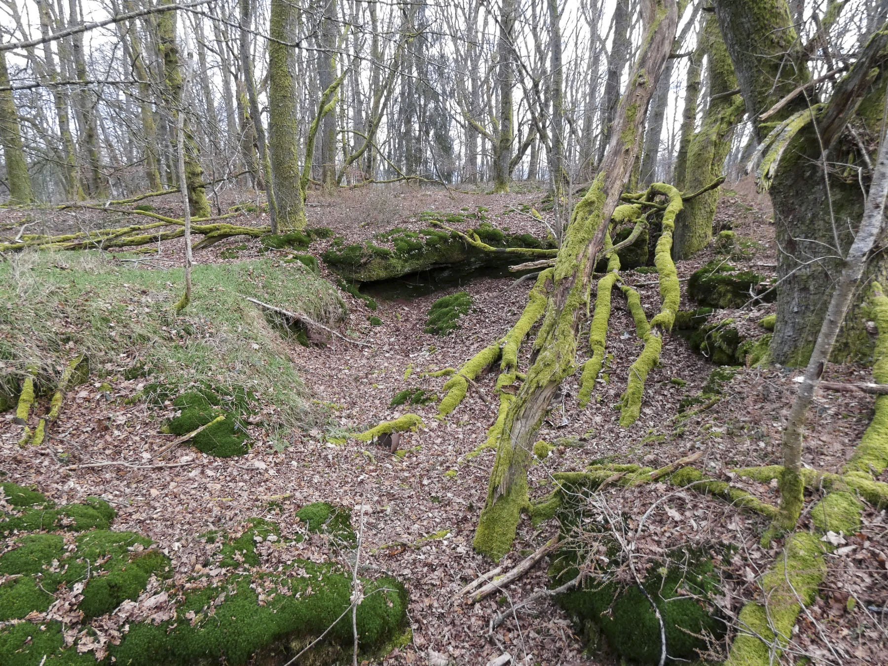 Ligne Maginot - GALGENBERG SUD - (Abri) - Les aménagements sur la crête signalés sur l'image LIDAR - STENGER Mathieu