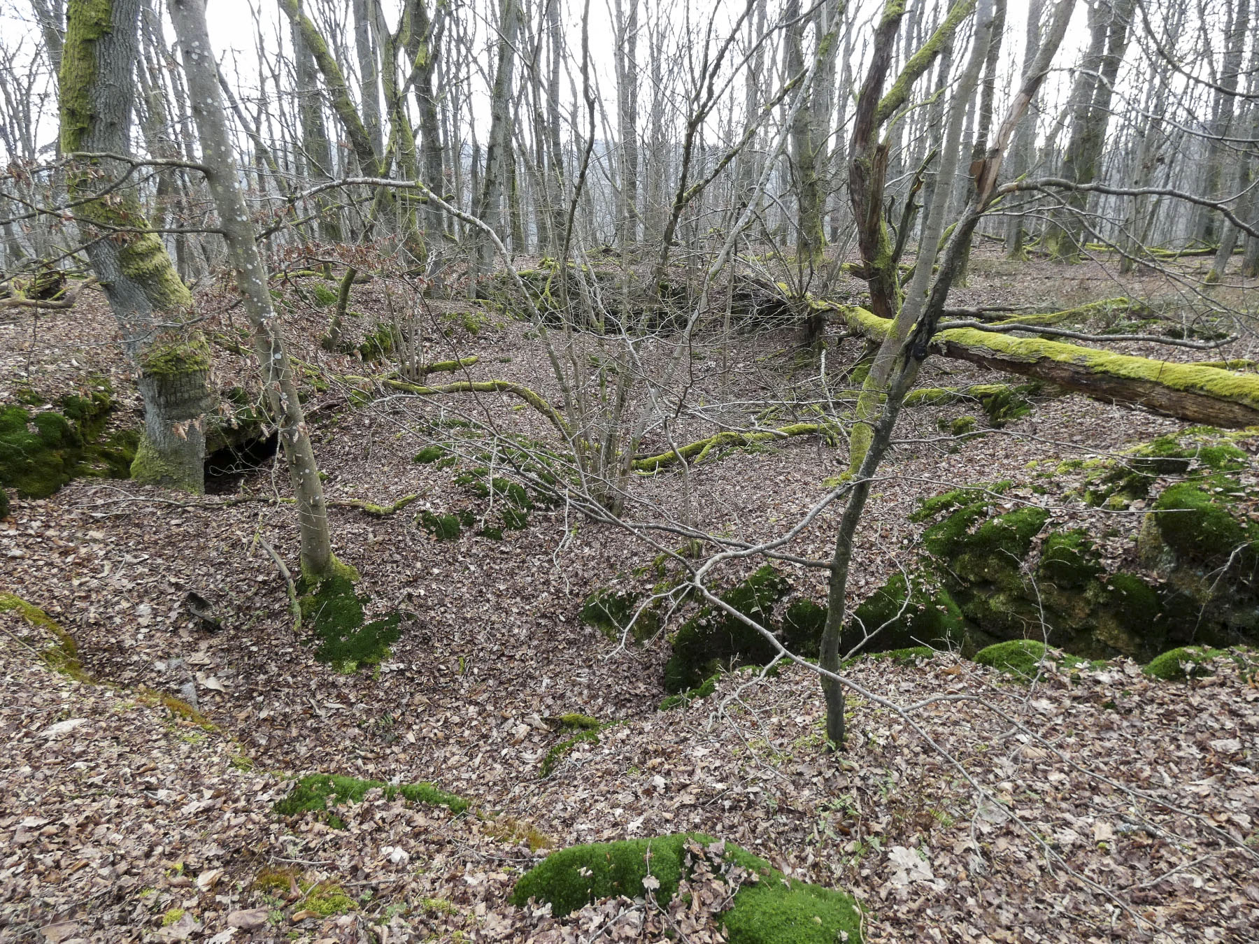 Ligne Maginot - GALGENBERG SUD - (Abri) - Les aménagements sur la crête signalés sur l'image LIDAR - STENGER Mathieu