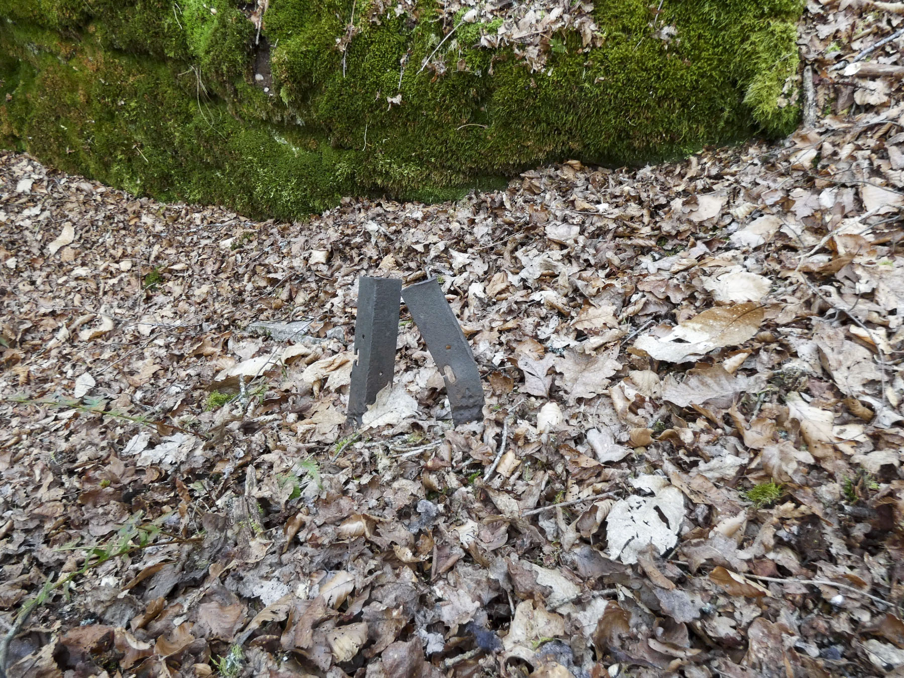 Ligne Maginot - GALGENBERG SUD - (Abri) - Les aménagements sur la crête signalés sur l'image LIDAR - STENGER Mathieu