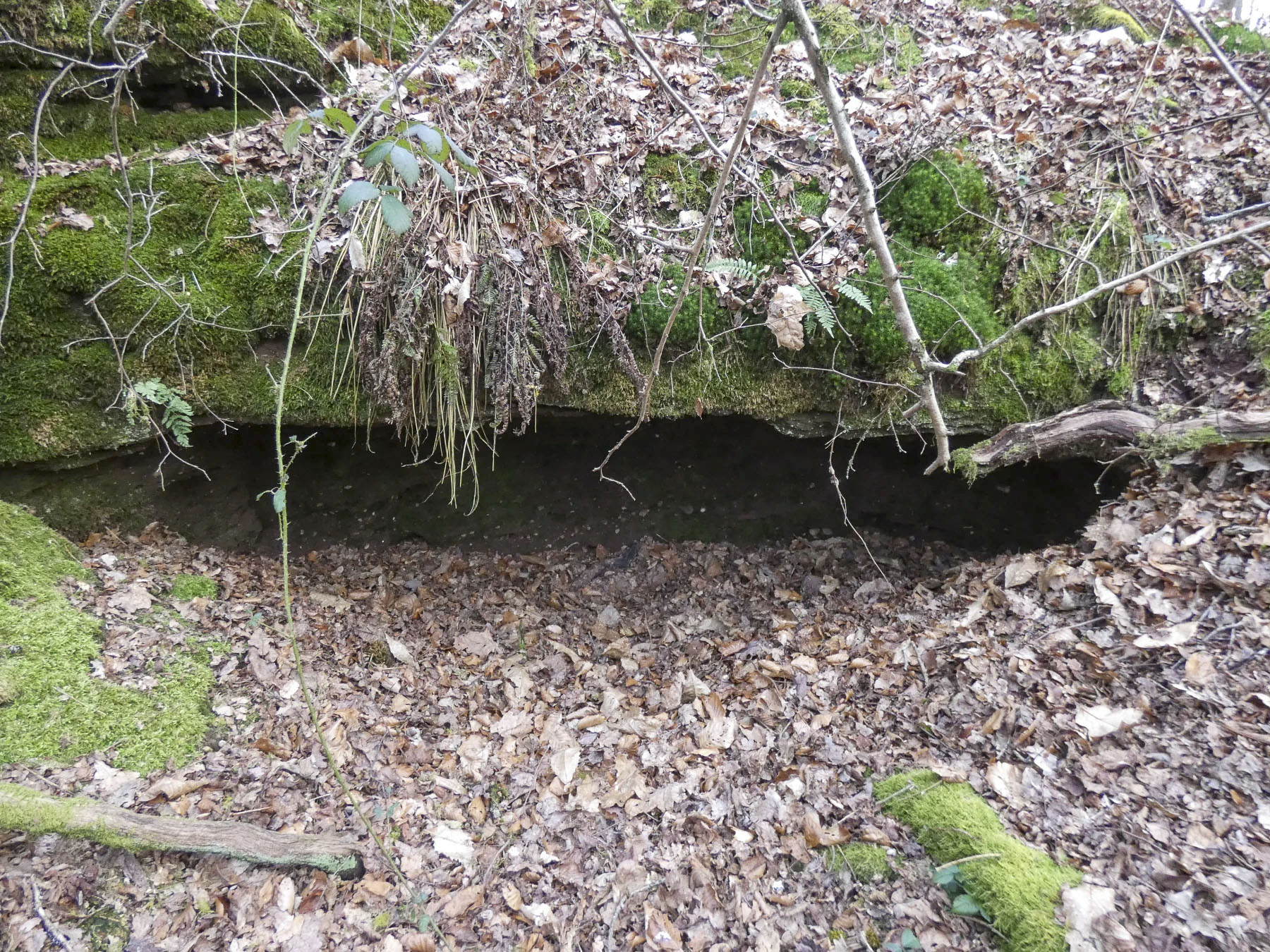 Ligne Maginot - GALGENBERG SUD - (Abri) - Les aménagements sur la crête signalés sur l'image LIDAR.
Un début de construction d'un abri ? - STENGER Mathieu
