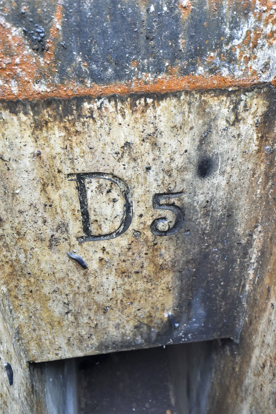 Ligne Maginot - D5 - (Chambre de coupure) -  - Ludovic KNAPP