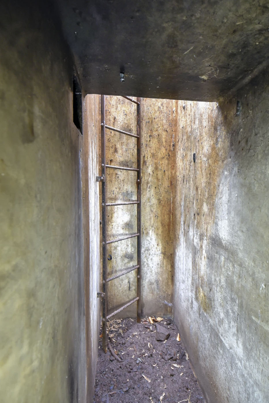 Ligne Maginot - D5 - (Chambre de coupure) -  - Ludovic KNAPP