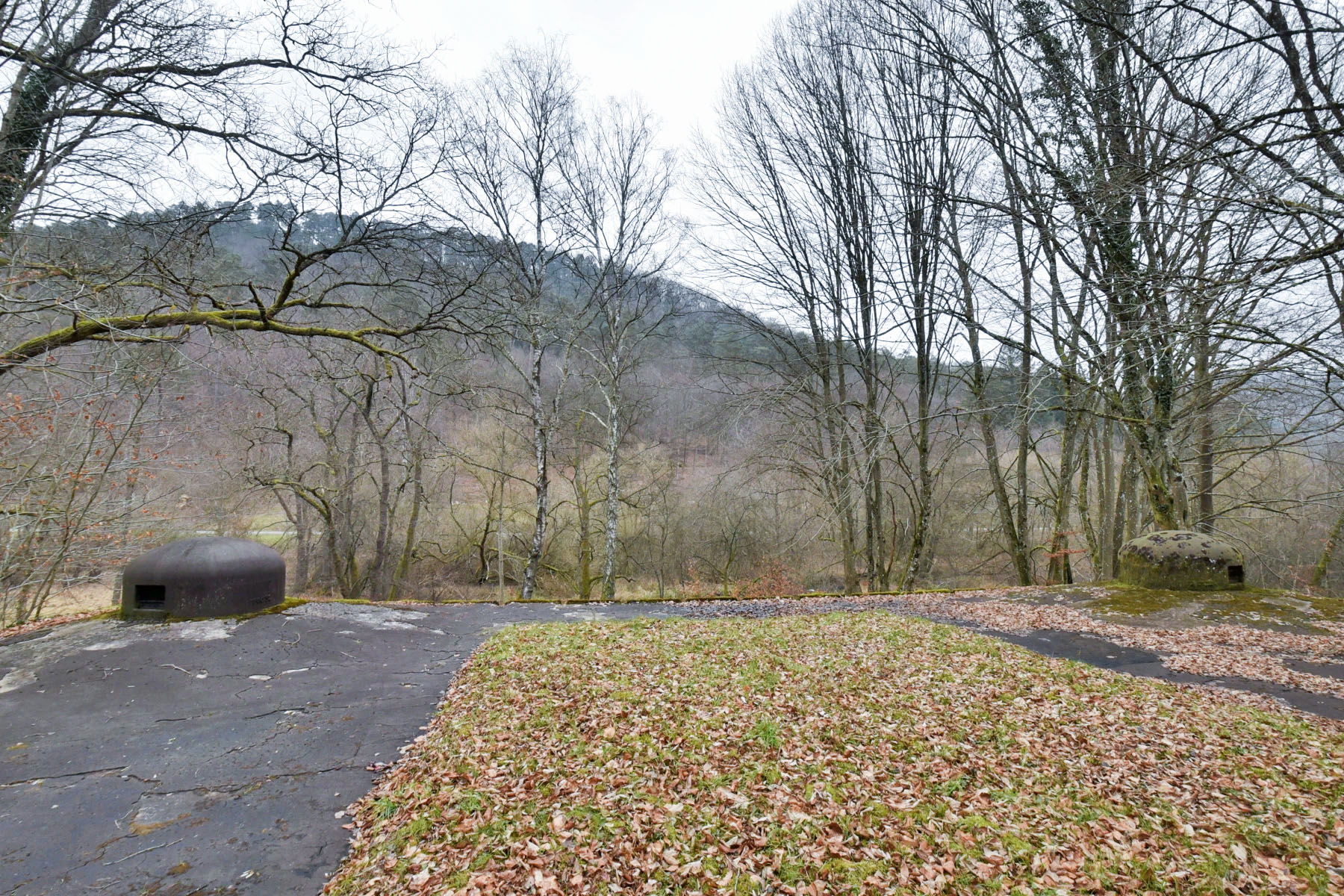 Ligne Maginot - GRUNENTHAL - C59 - (Casemate d'infanterie - Double) -  - Ludovic KNAPP