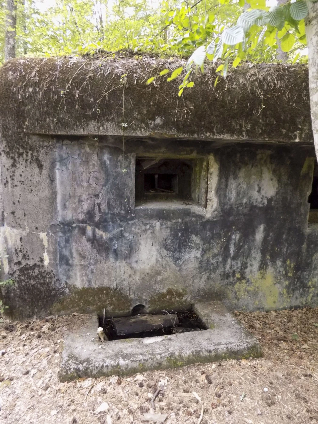 Ligne Maginot - HANAU 1 - (Blockhaus pour canon) - Créneau de tir de la mitrailleuse et sa fosse pour les étuis - J.Luc