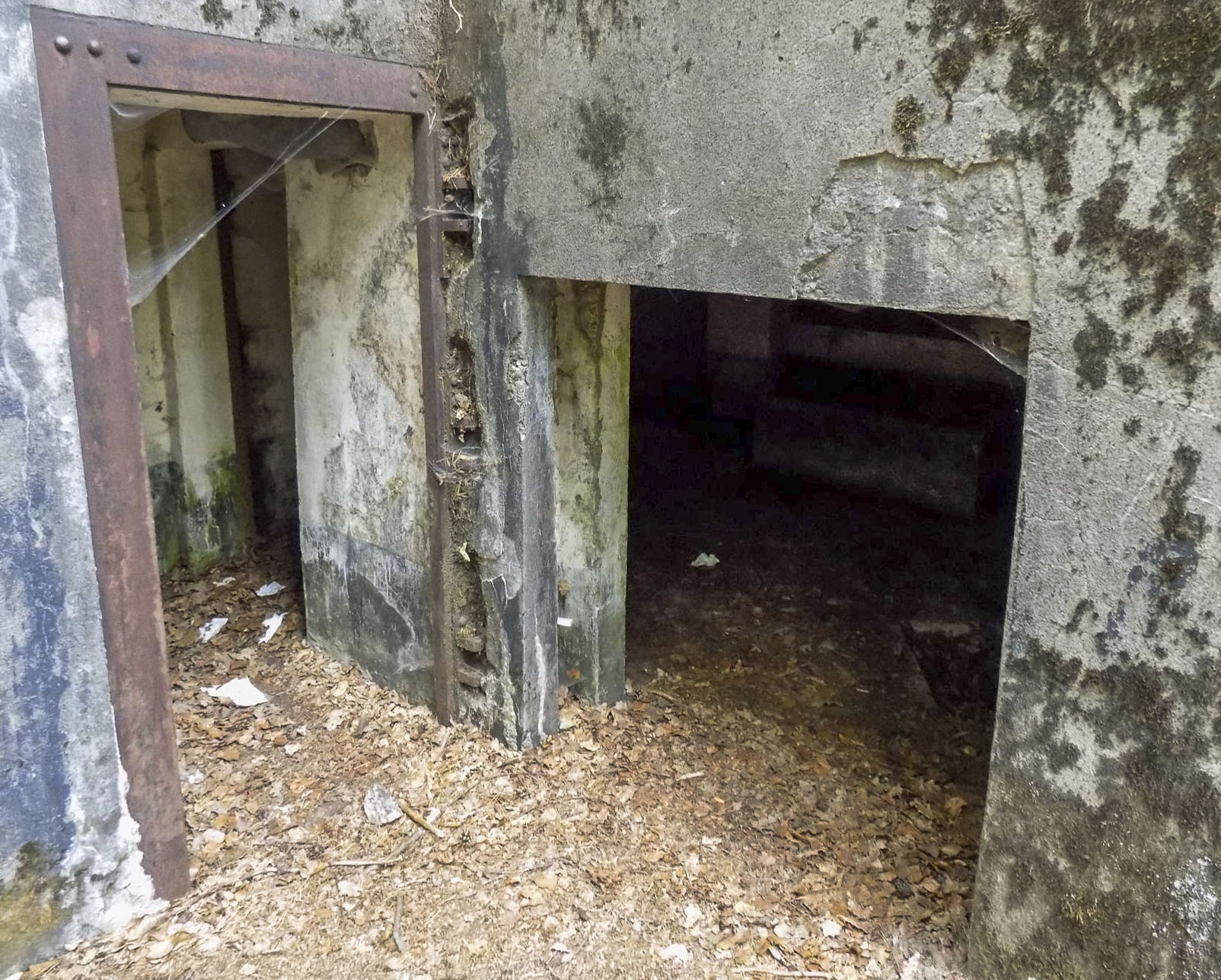 Ligne Maginot - HANAU 1 - (Blockhaus pour canon) - L'entrée et le passage pour le canon - J.Luc