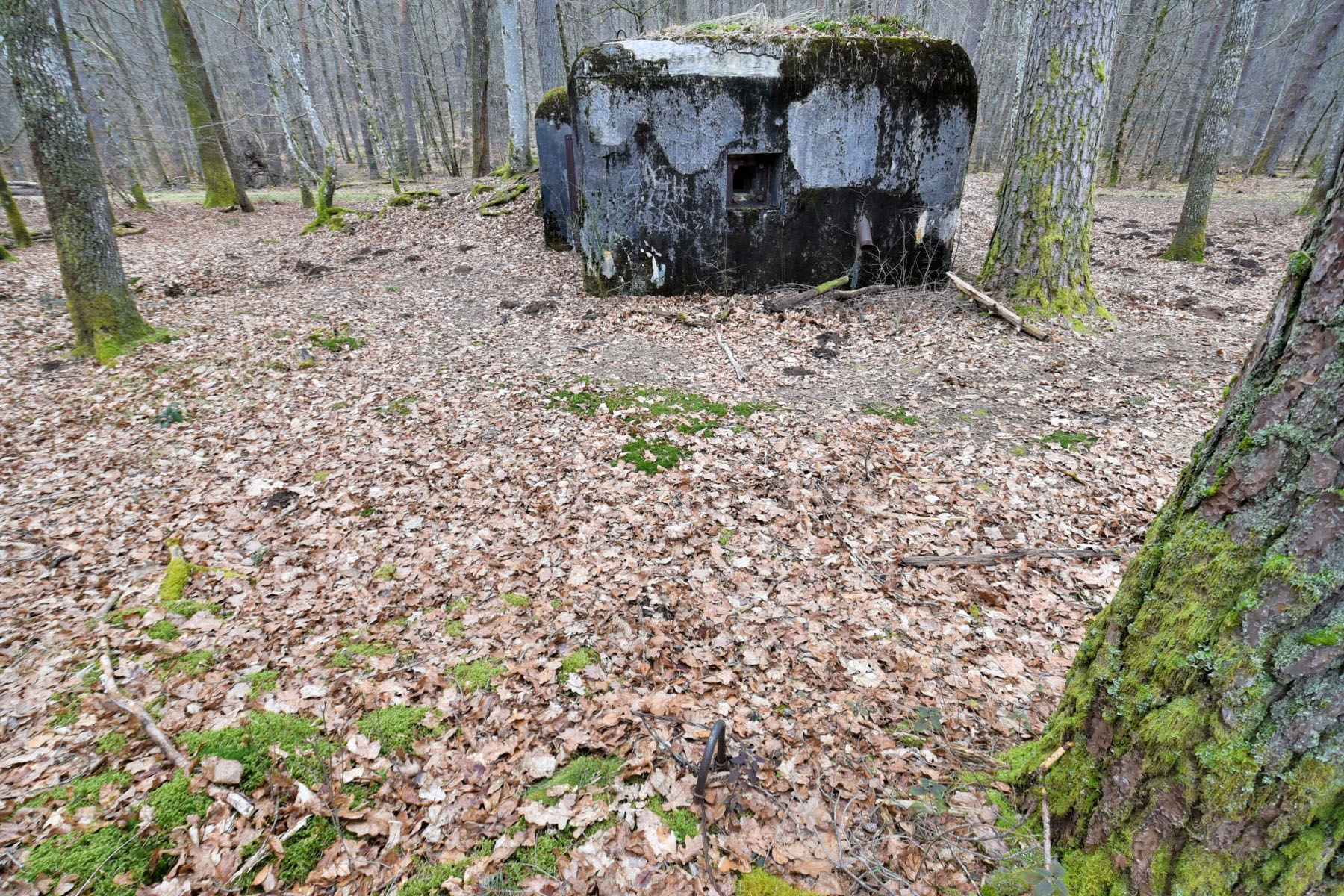 Ligne Maginot - HANAU 1 - (Blockhaus pour canon) - Ancrage pour le filet de camouflage  - Ludovic KNAPP