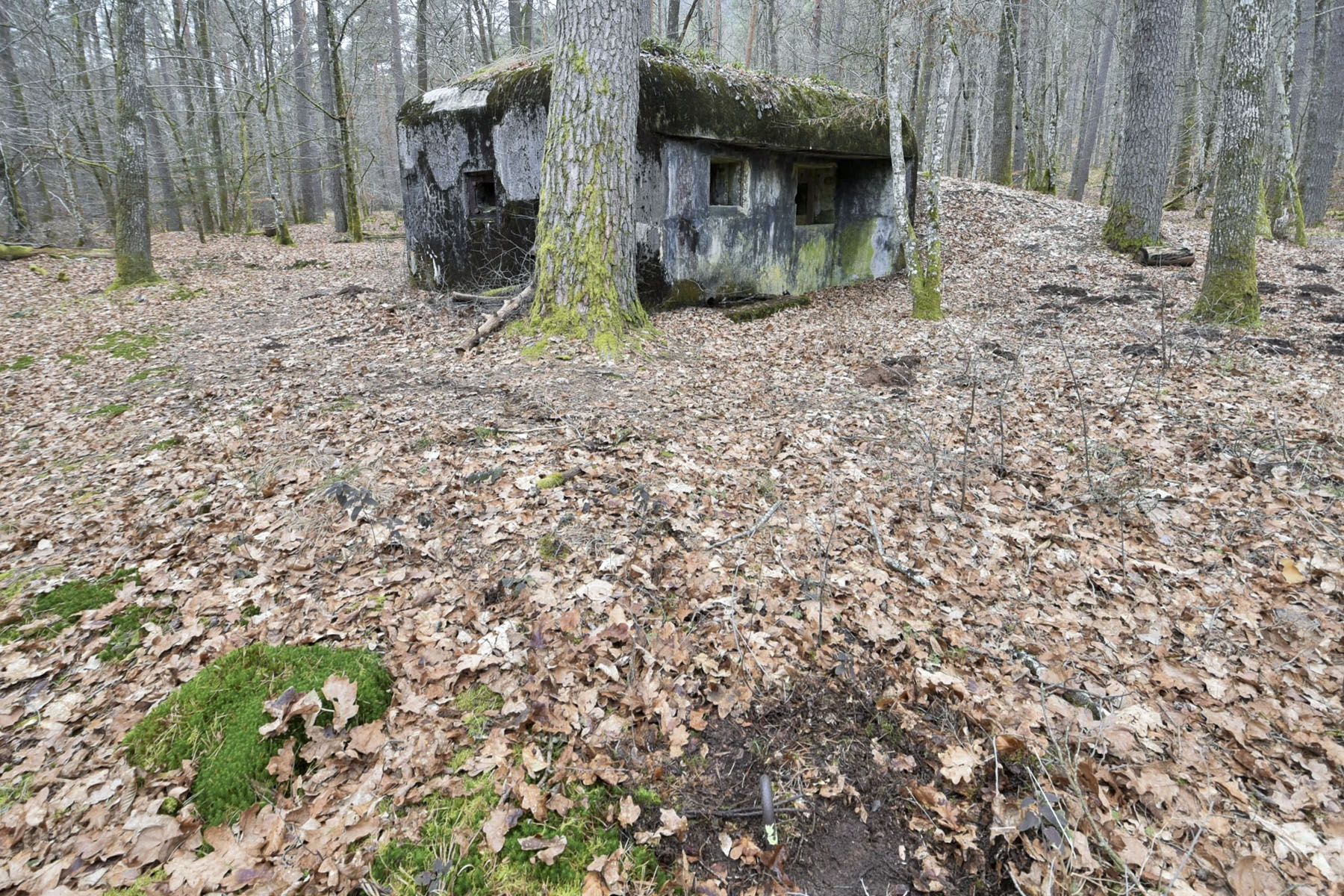 Ligne Maginot - HANAU 1 - (Blockhaus pour canon) - Ancrage pour le filet de camouflage  - Ludovic KNAPP