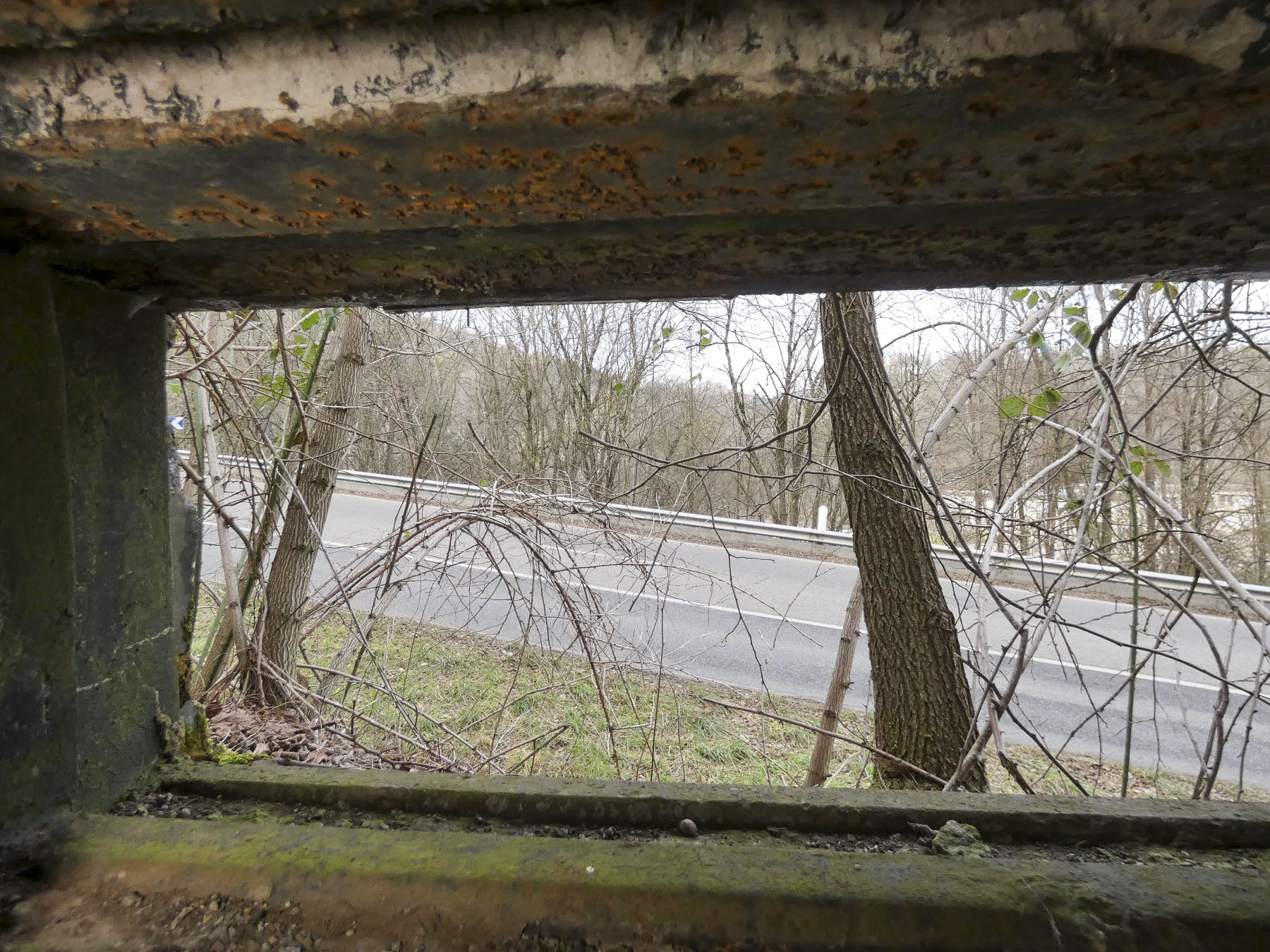 Ligne Maginot - GALGENBERG EST - (Blockhaus pour arme infanterie) - La vue depuis le créneaux frontal. - STENGER Mathieu