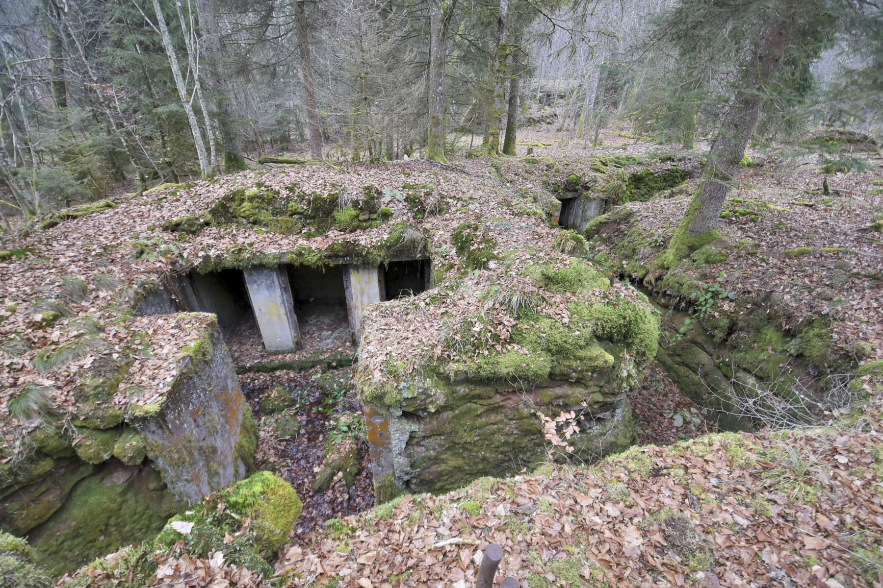 Ligne Maginot - GLASBRONN - (Casemate d'infanterie - Simple) - La tranchée desservant les niches de stockage - Ludovic KNAPP