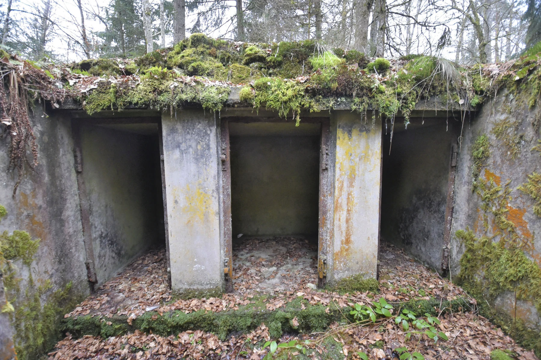 Ligne Maginot - GLASBRONN - (Casemate d'infanterie - Simple) - Les trois niches de stockage - Ludovic KNAPP