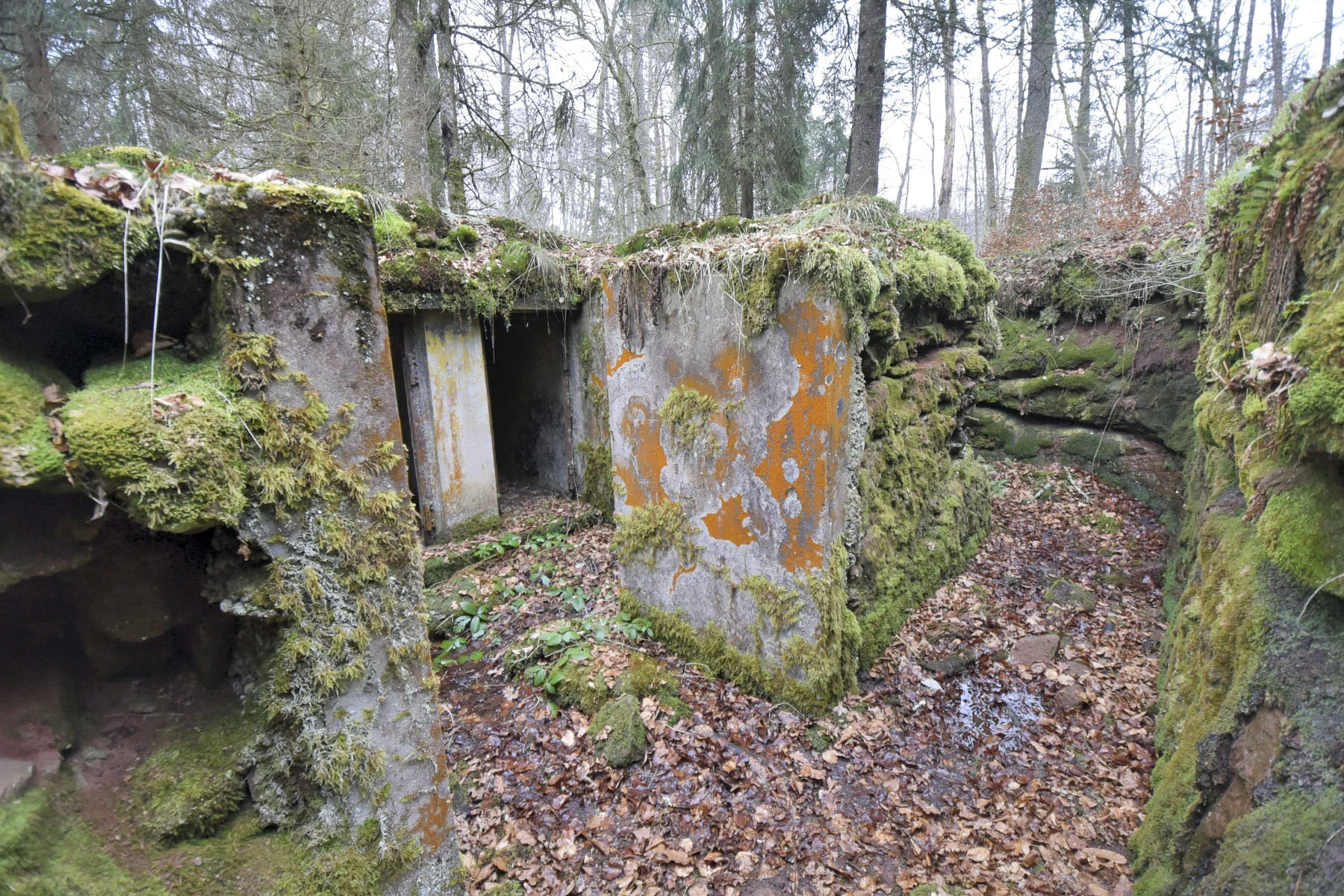 Ligne Maginot - GLASBRONN - (Casemate d'infanterie - Simple) - Accès à trois niches de stockage - Ludovic KNAPP