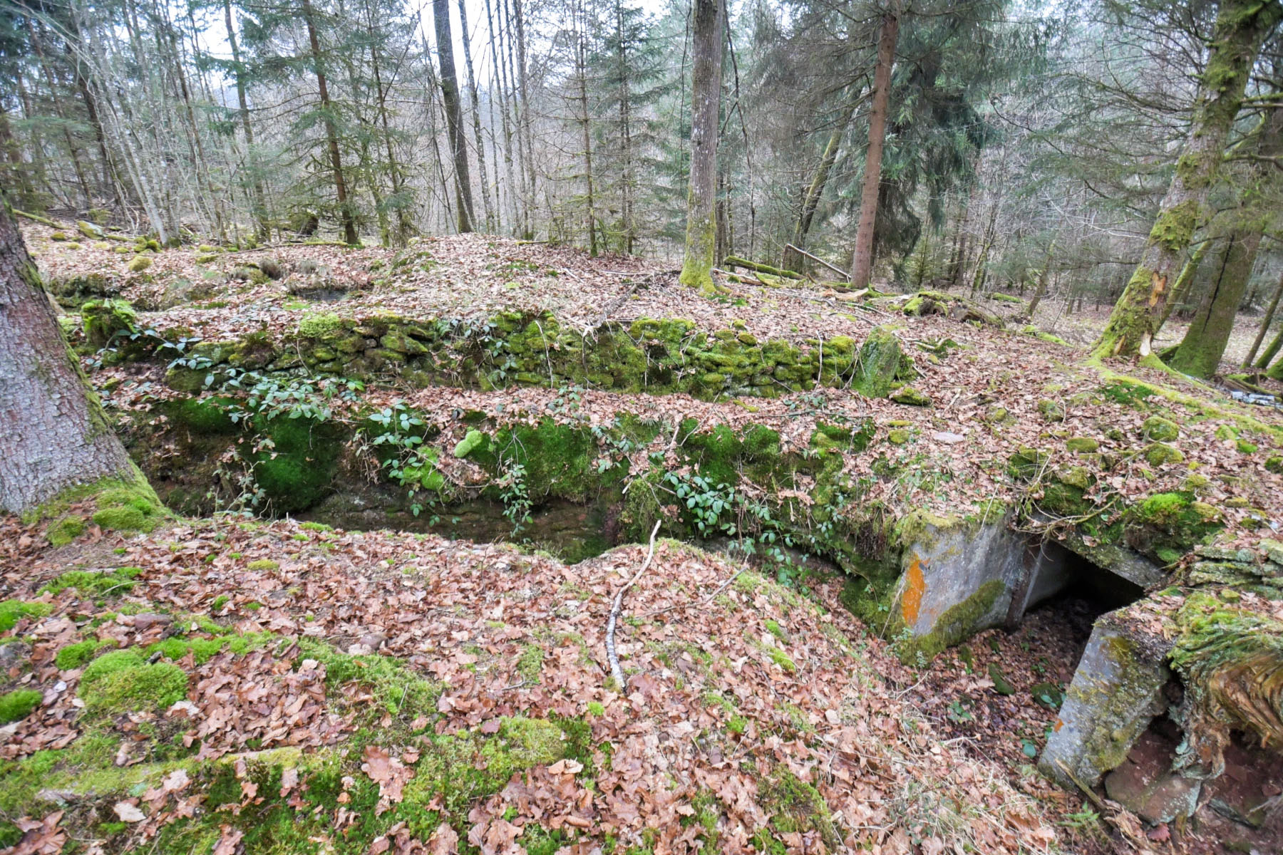 Ligne Maginot - GLASBRONN - (Casemate d'infanterie - Simple) - Une niche de stockage à coté d'un parapet en pierres sèches  - Ludovic KNAPP