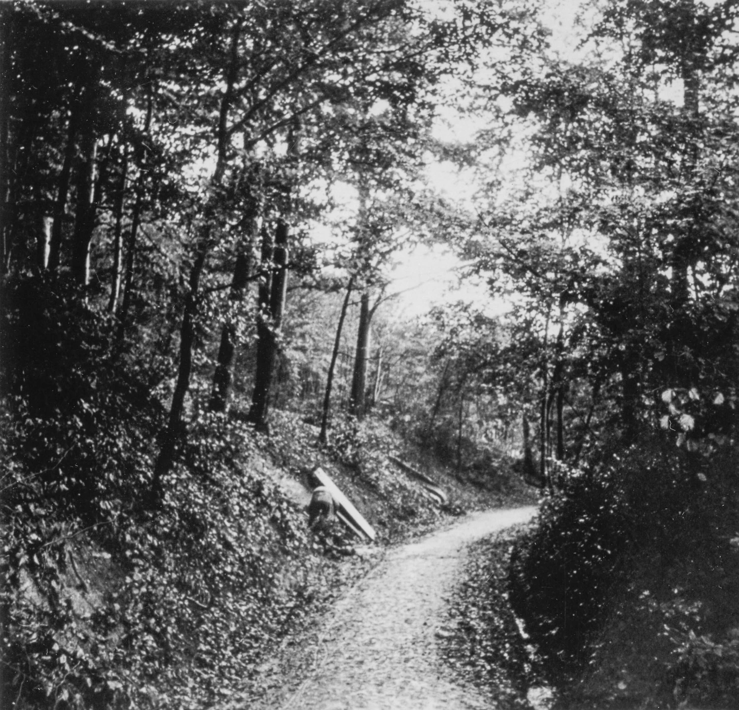 Ligne Maginot - BOIS DE LA COTE (169° RIF) - (PC de Sous-Secteur) - PC du Bois de la cote
Le sentier ou se trouvent les 3 alvéoles du PC artillerie (CE Laffont) - Inconnu