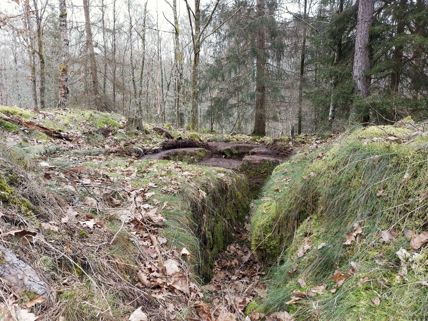 Ligne Maginot - ERBSENTHAL - (Cuve pour arme d'infanterie) - Tranchée d'accès taillée dans le grès - Gregory Fuchs