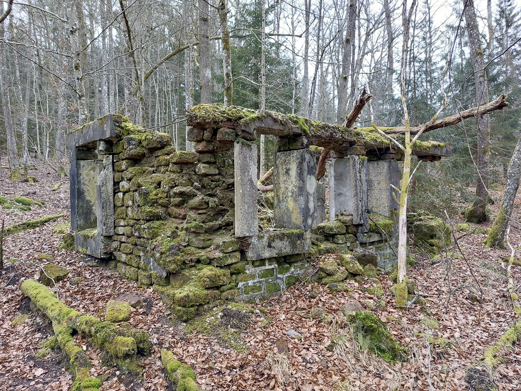 Ligne Maginot - GLASBRONN - (Casernement) -  - Gregory Fuchs