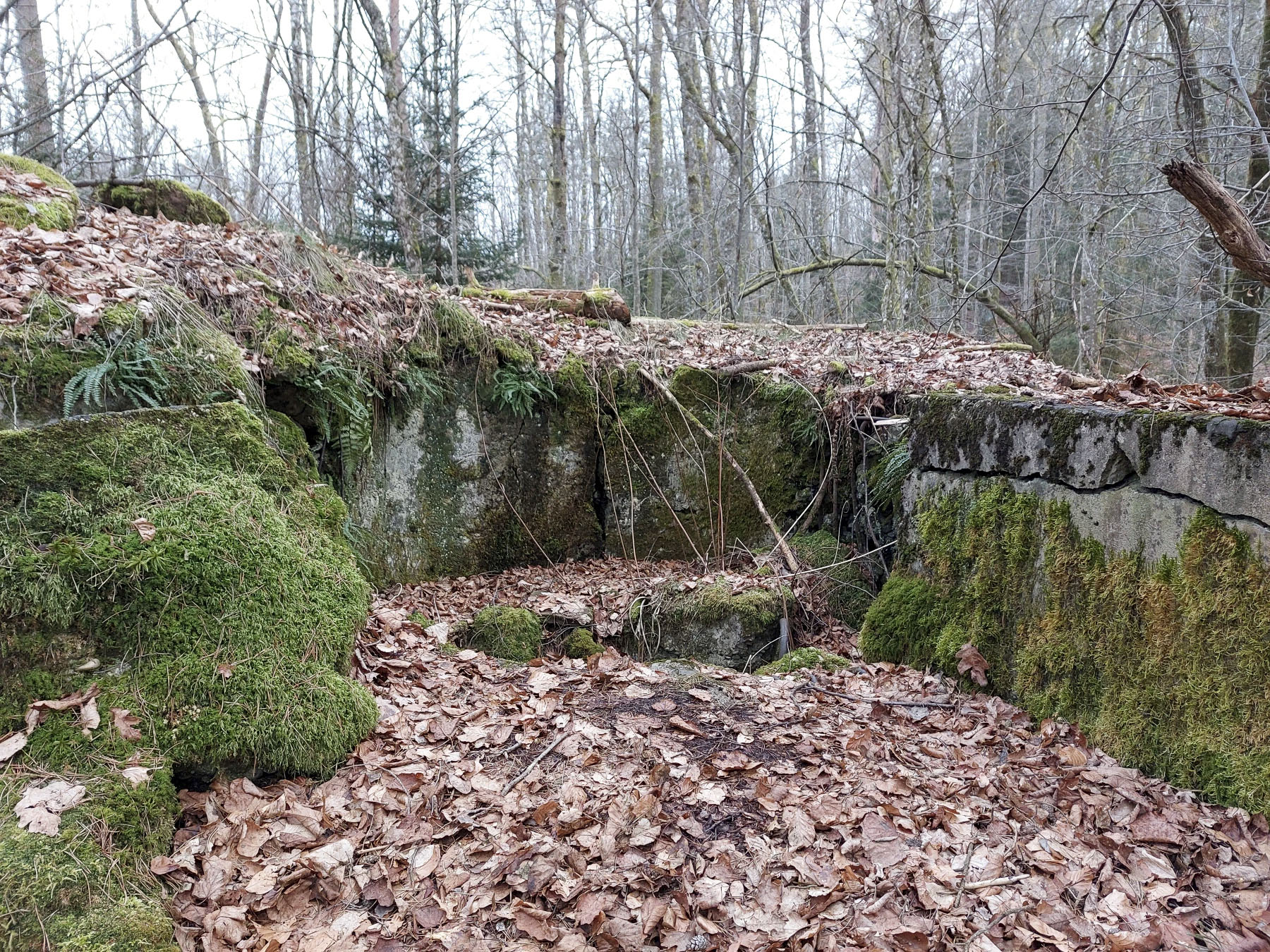 Ligne Maginot - GLASBRONN - (Casemate d'infanterie - Simple) - Emplacement de la cloche JM - Gregory Fuchs
