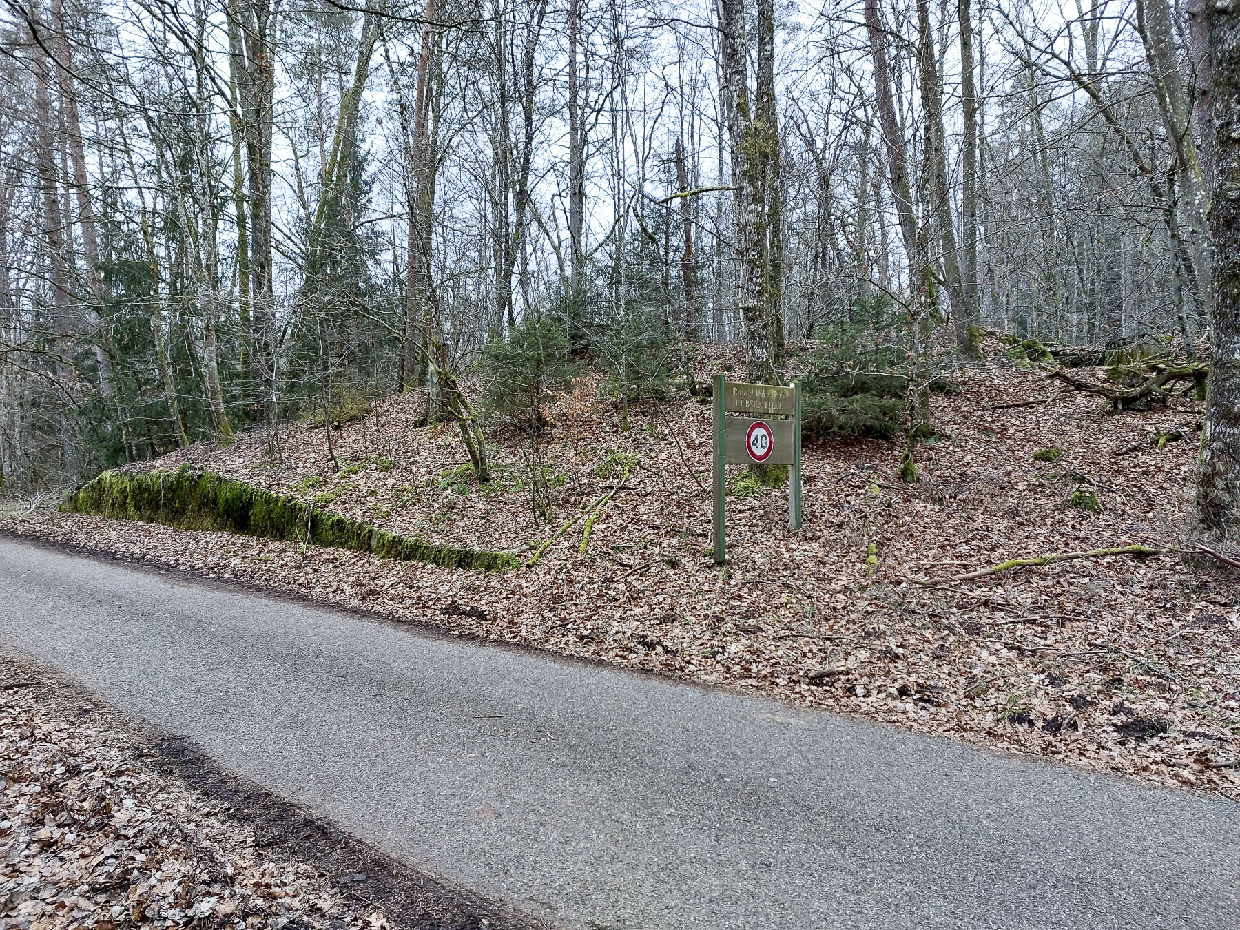 Ligne Maginot - GLASBRONN - (Casemate d'infanterie - Simple) - Le talus de protection et le muret de soutènement contre la route forestière de l'Erbsenthal  - Gregory Fuchs