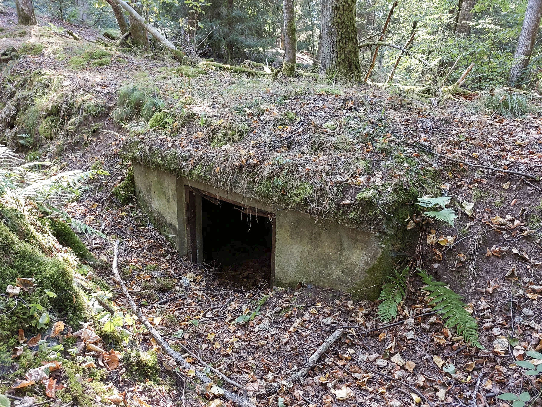 Ligne Maginot - GLASBRONN - (Casemate d'infanterie - Simple) - Une première niche de stockage au départ du boyau d'accès depuis la casemate - Gregory Fuchs