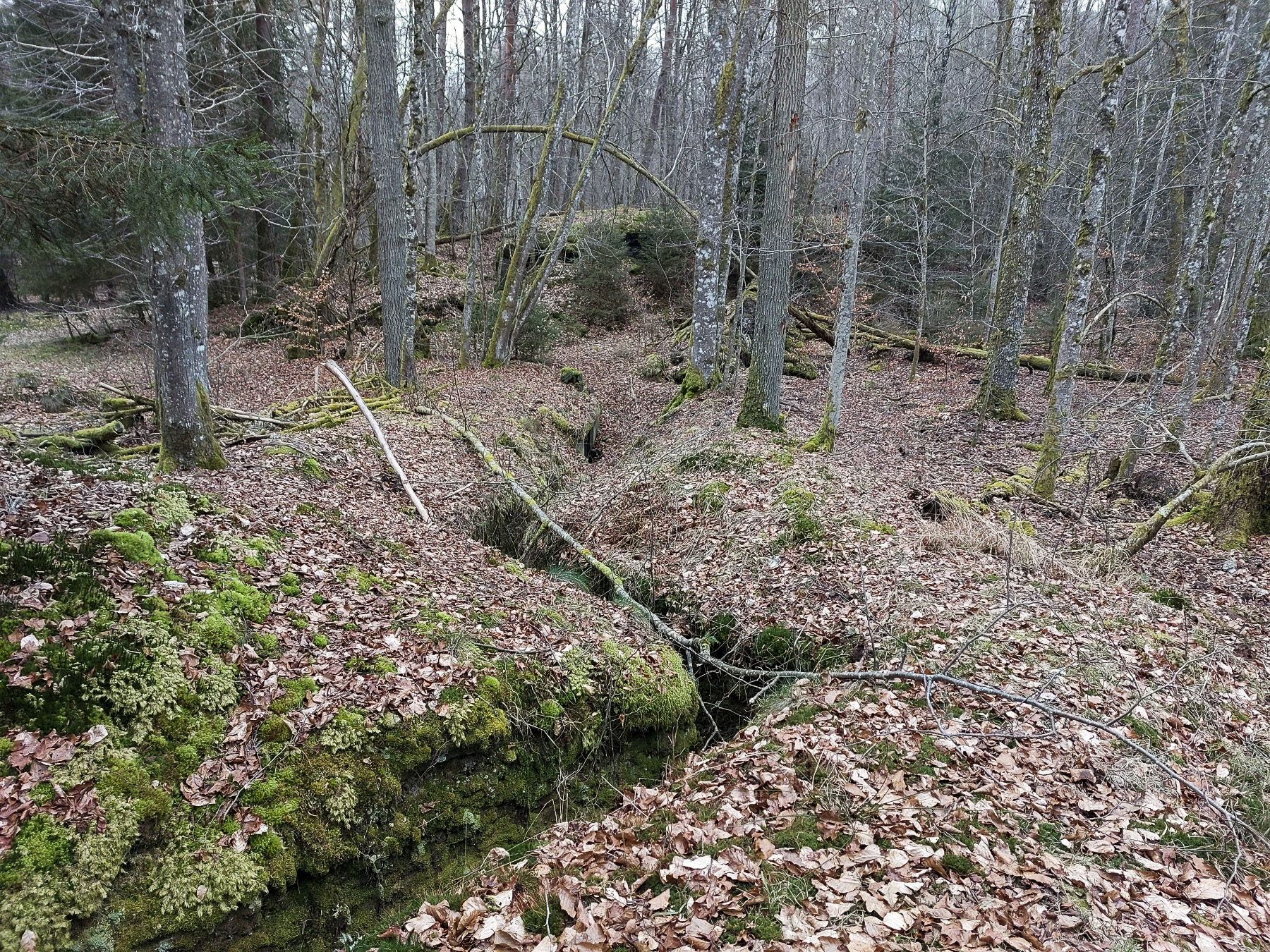 Ligne Maginot - GLASBRONN - (Casemate d'infanterie - Simple) - Le boyau taillée en zigzag permettant d'accéder à la casemate depuis la tranchée - Gregory Fuchs