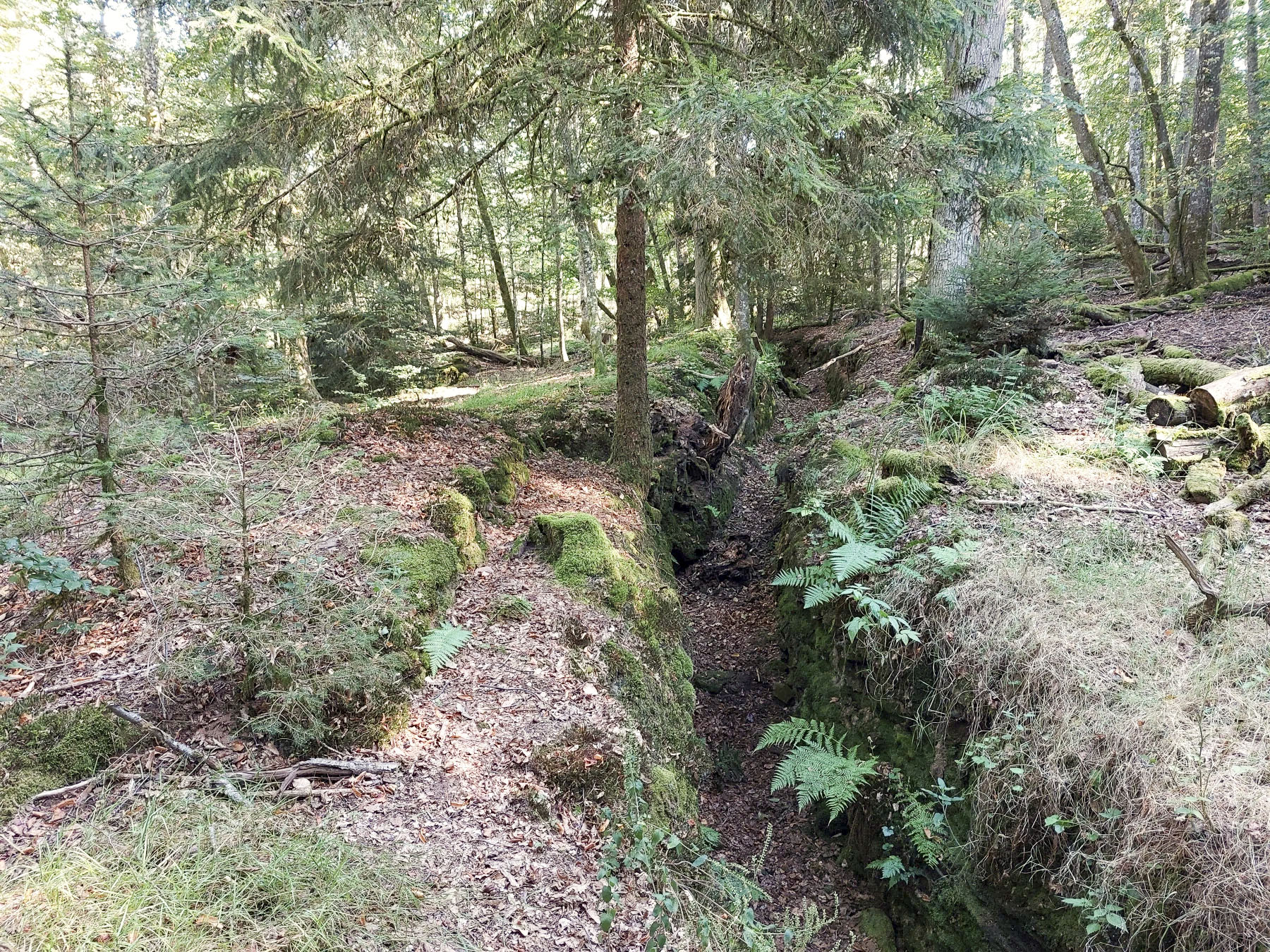 Ligne Maginot - GLASBRONN - (Casemate d'infanterie - Simple) - Le boyau d'accès et les arrières de la casemate sont couverts depuis la tranchée par une position de tir avec parapet en pierres sèches - Gregory Fuchs