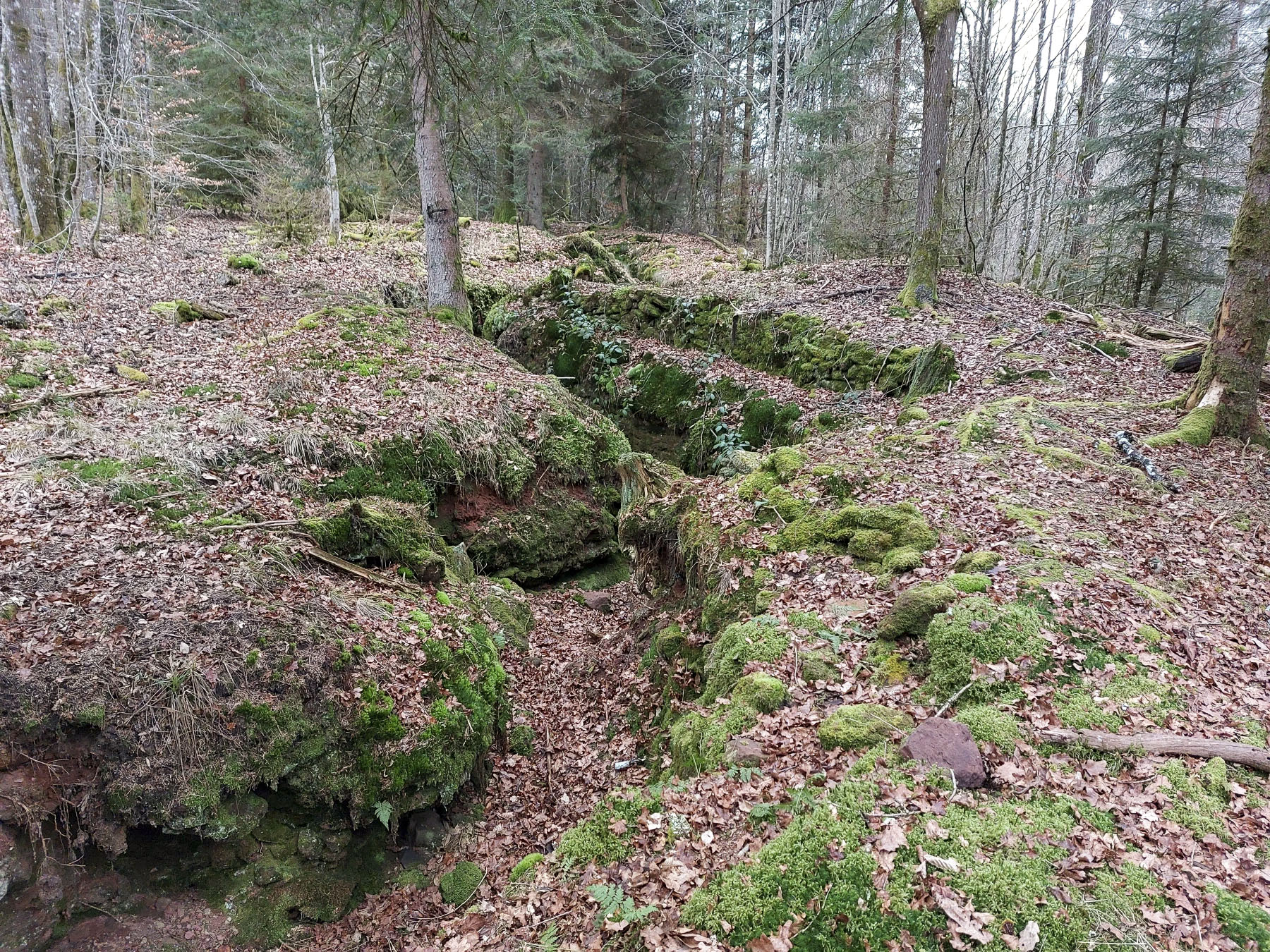 Ligne Maginot - GLASBRONN - (Casemate d'infanterie - Simple) - Au niveau des niches de stockage, une seconde position de tir avec parapet en pierres sèches - Gregory Fuchs