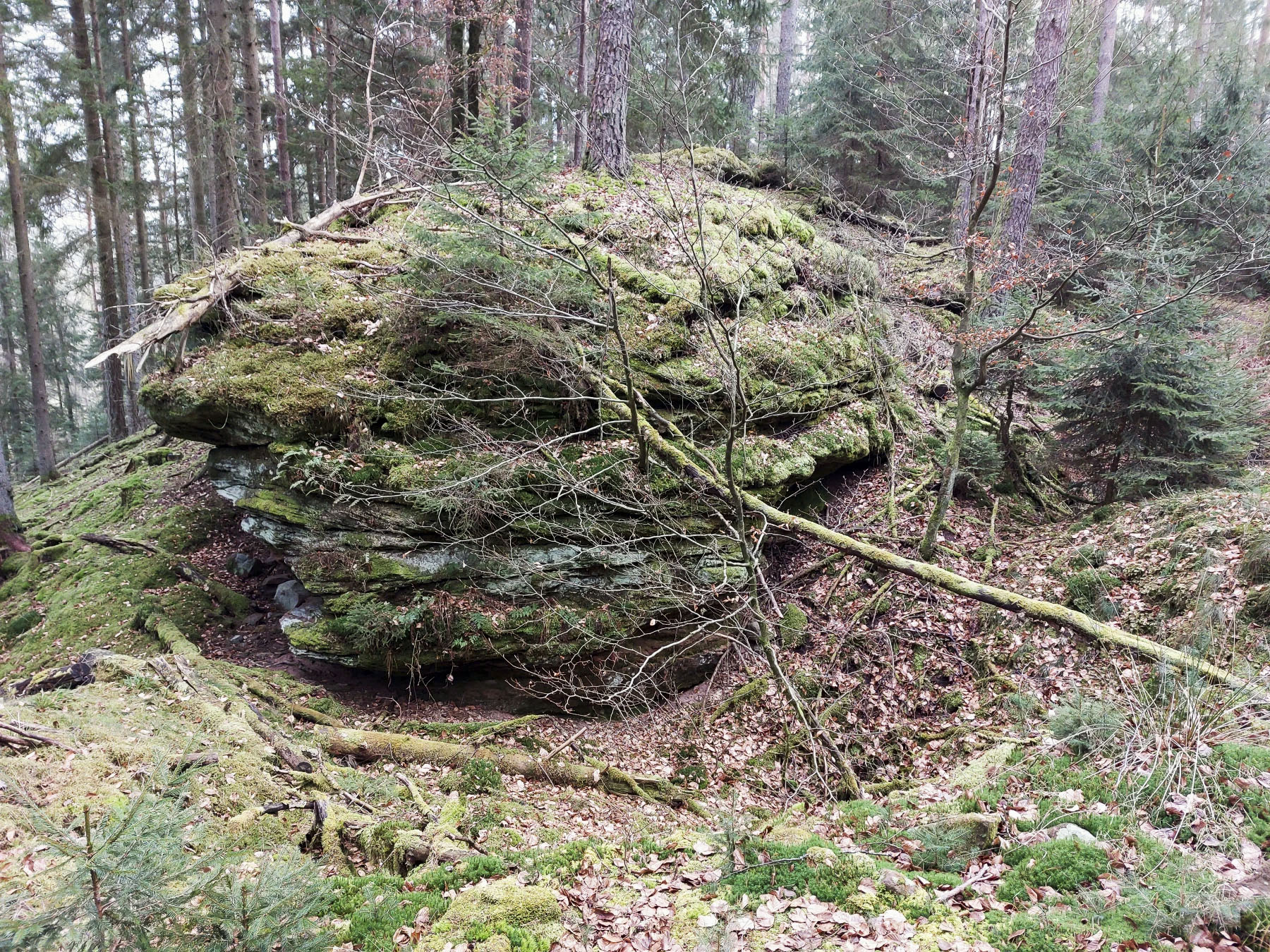 Ligne Maginot - HAUSBERG - (Abri) - Fouille d'un abri visible à l'arrière du rocher - Gregory Fuchs