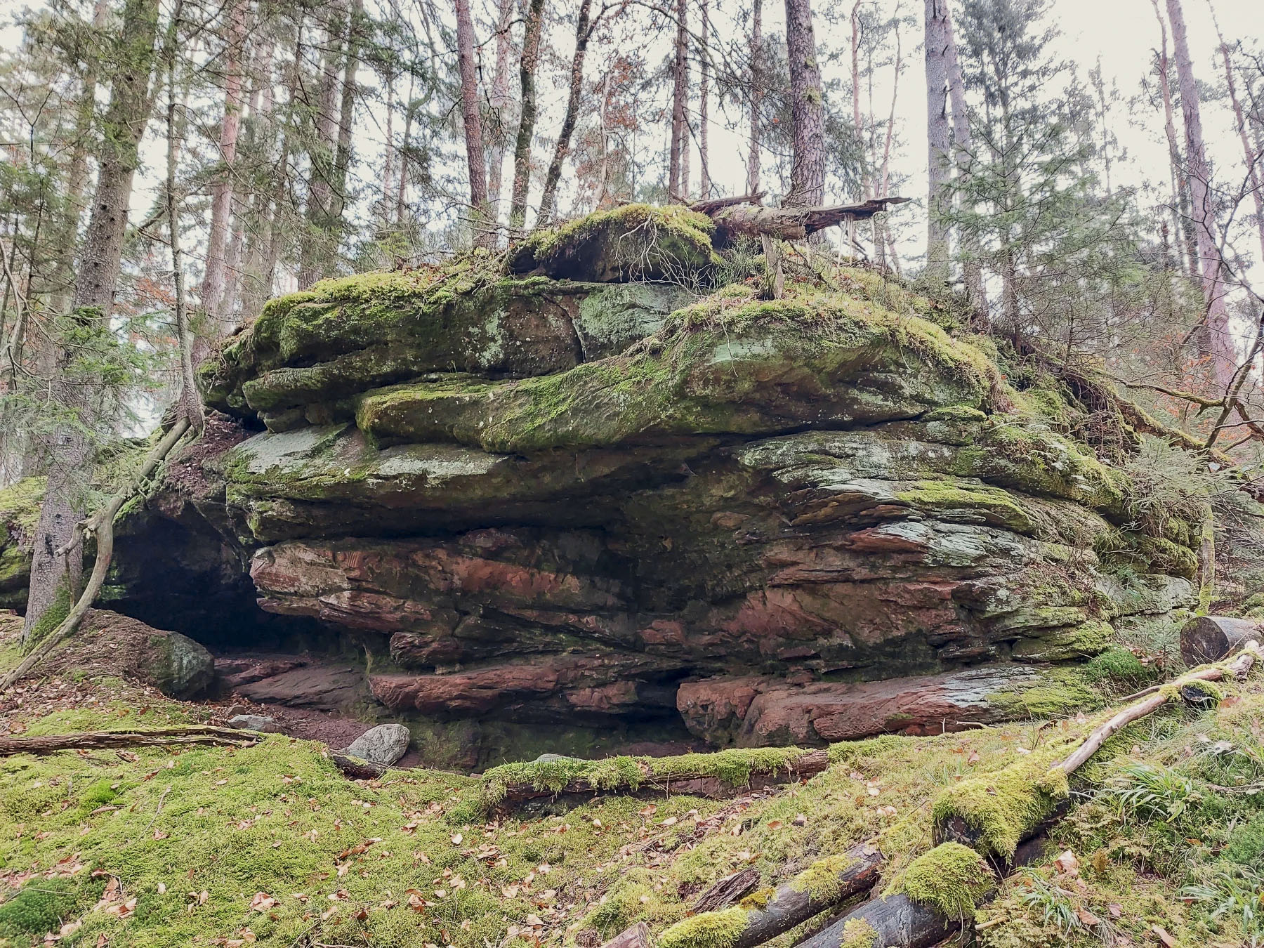 Ligne Maginot - HAUSBERG - (Abri) - L'abri sous roche - Gregory Fuchs