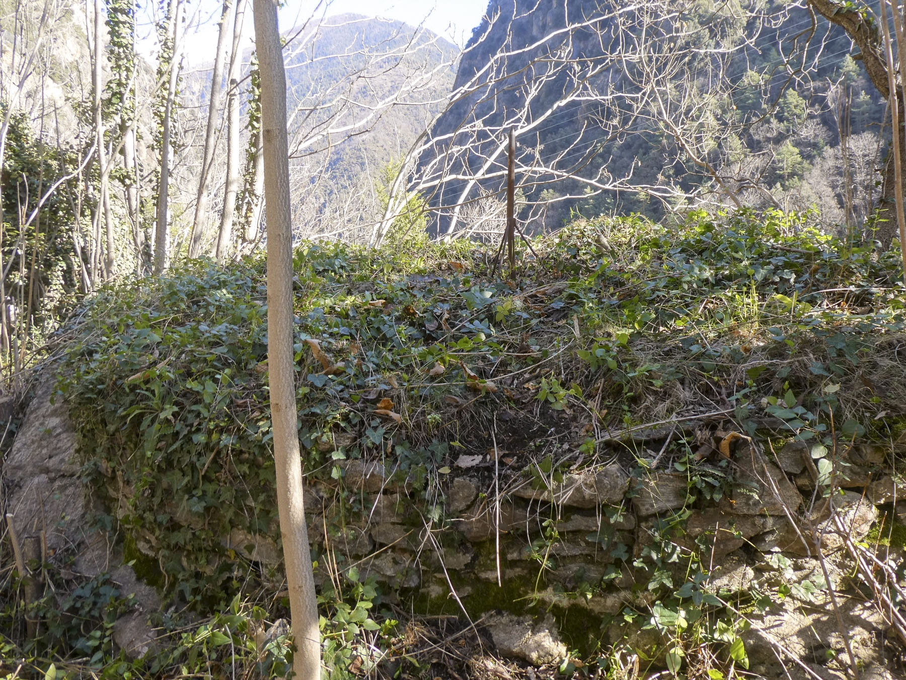 Ligne Maginot - VALABRES ANNEXE (OU SUD) (VA) - (Blockhaus pour arme infanterie) - Sur les dessus du bloc, une construction indéterminée.












 - ELLENA Daniel - CUNY Philippe