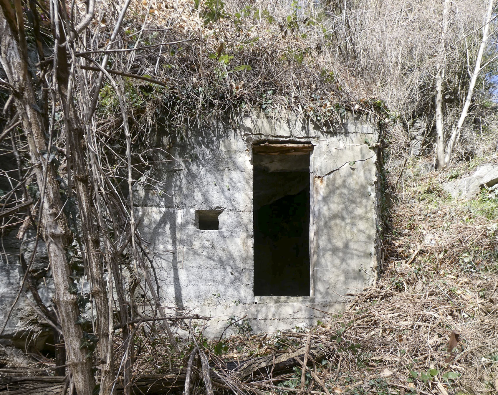 Ligne Maginot - VALABRES - (Abri) - 








L'abri 
 - ELLENA Daniel - CUNY Philippe