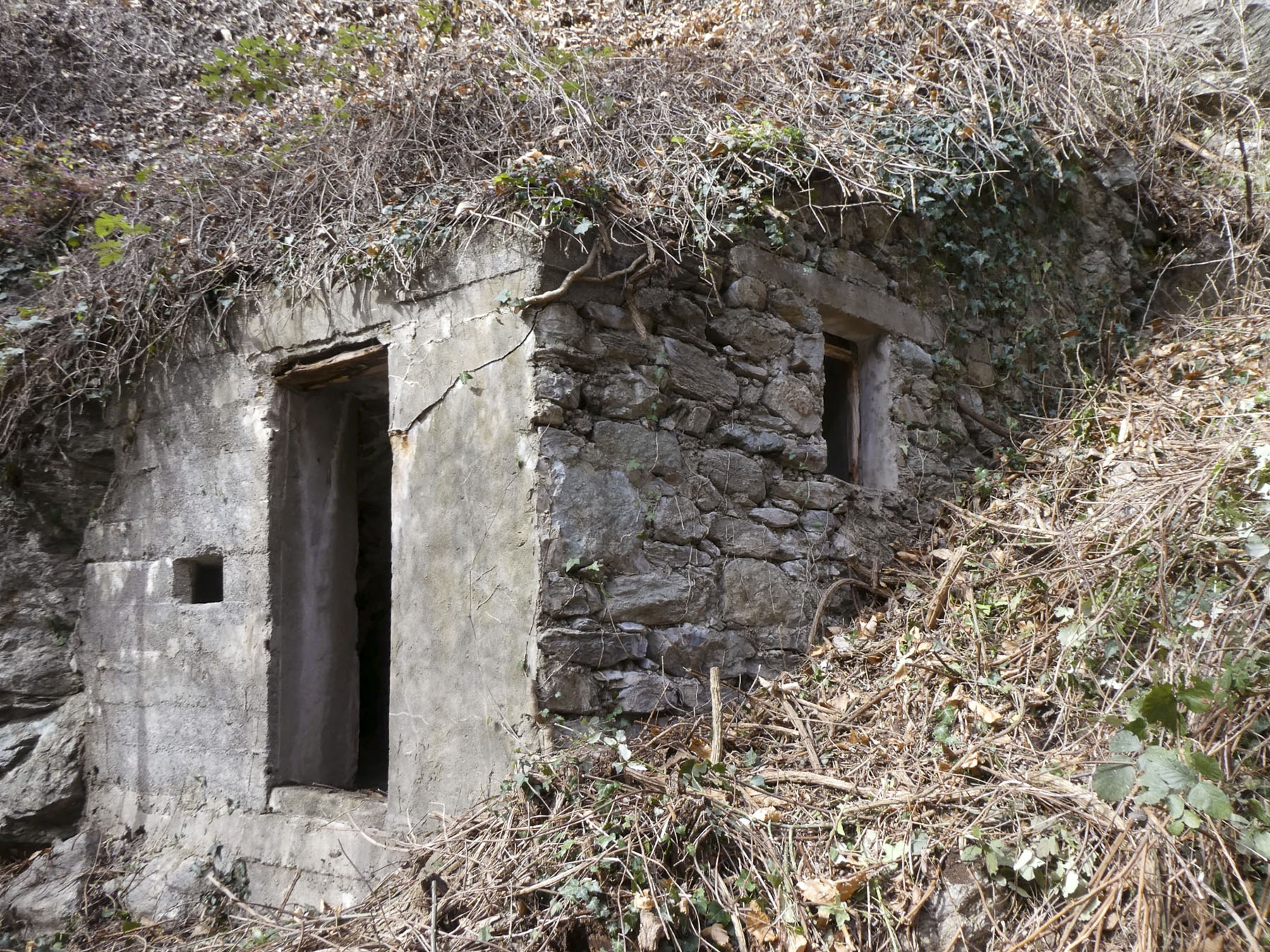 Ligne Maginot - VALABRES - (Abri) - 
 - ELLENA Daniel - CUNY Philippe