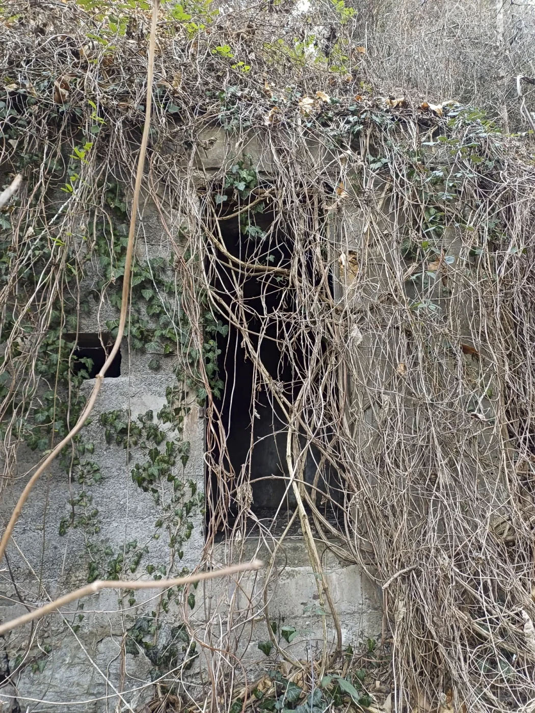 Ligne Maginot - VALABRES - (Blockhaus pour arme infanterie) - Abri et son créneau, à proximité du blockhaus - GREBOVAL Simon