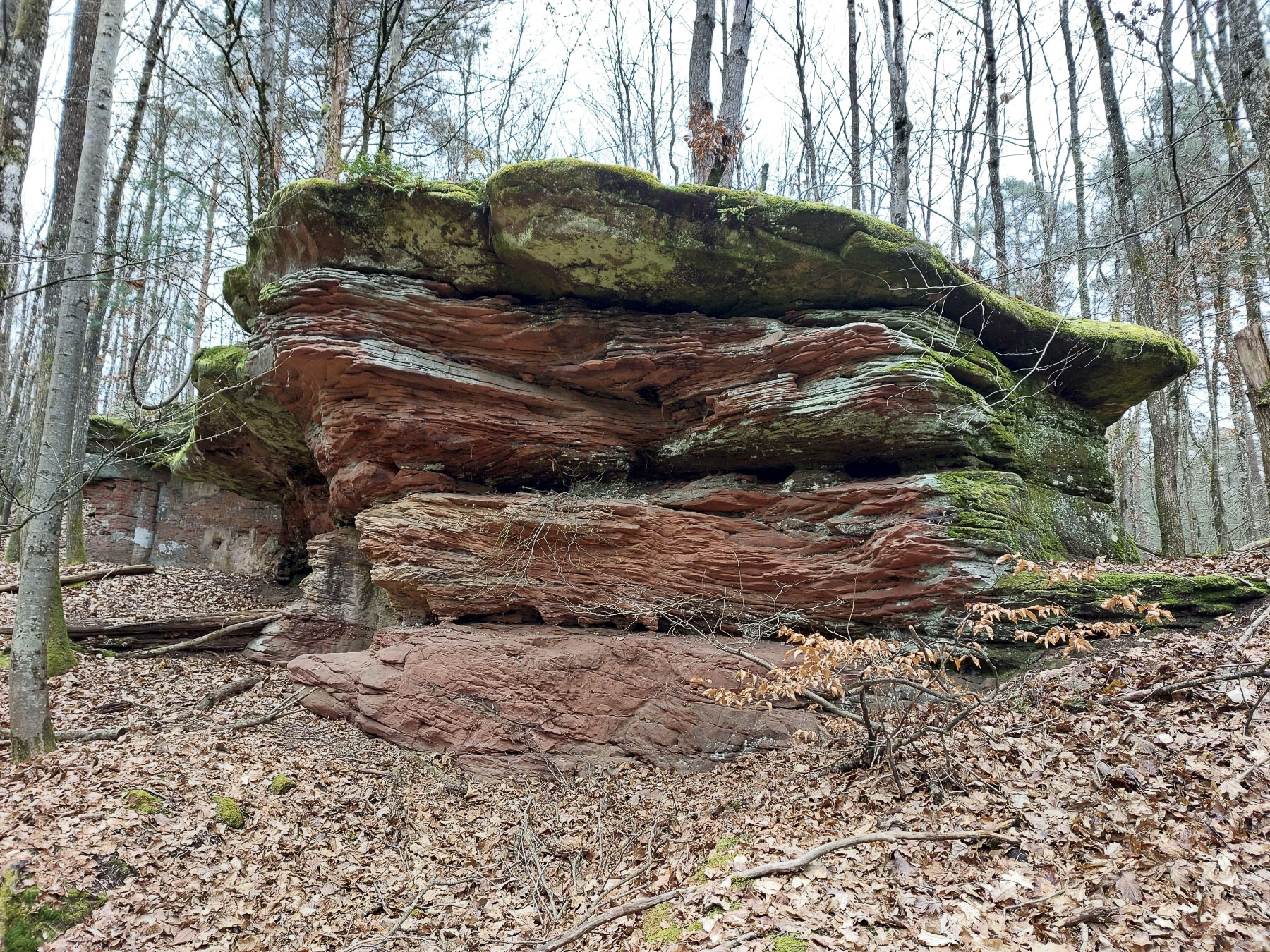 Ligne Maginot - BUCKELHANS - (PC) - Groupe d'abris sous roche  - Gregory Fuchs