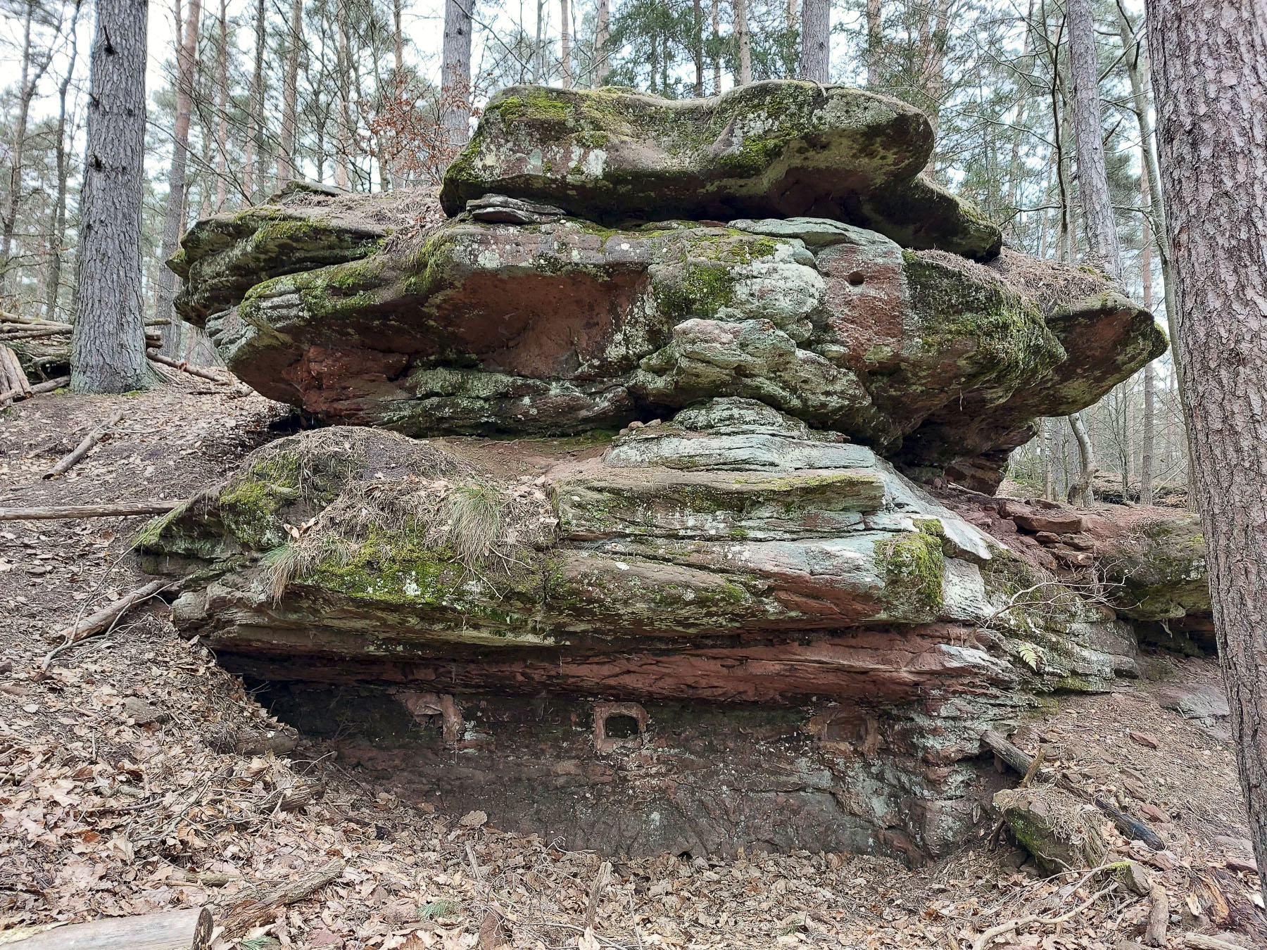 Ligne Maginot - BUCKELHANS - (PC) - Abri sous roche - Gregory Fuchs