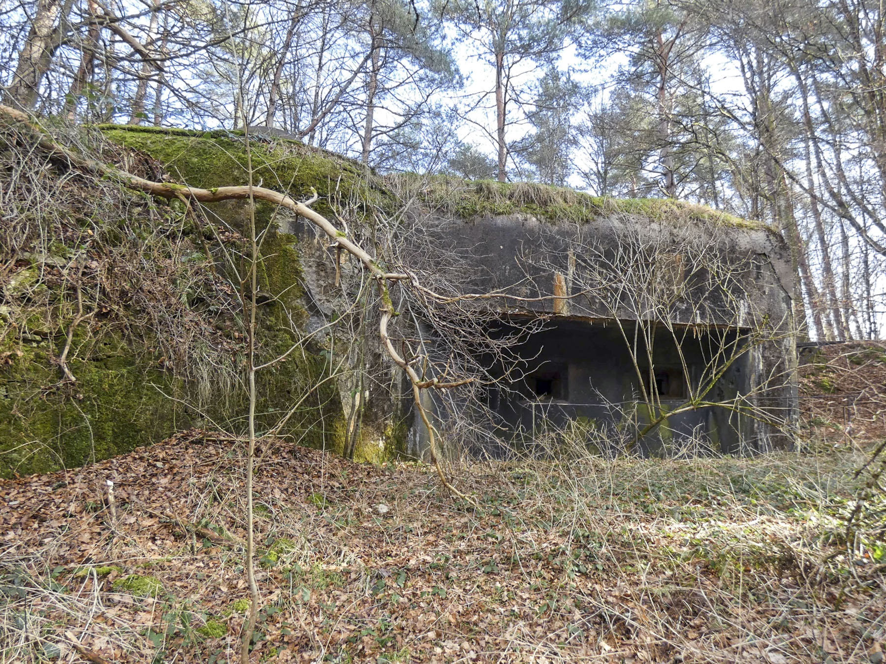 Ligne Maginot - RAMSTEIN OUEST - (Casemate d'infanterie - Simple) - La façade de tir vers l'ouest. - STENGER Mathieu