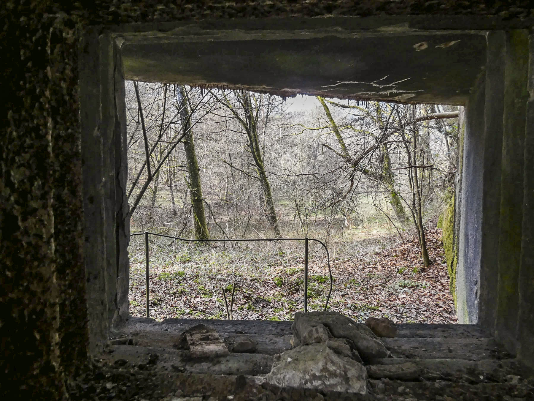 Ligne Maginot - RAMSTEIN OUEST - (Casemate d'infanterie - Simple) - Le champ de tir vu par le créneau. - STENGER Mathieu