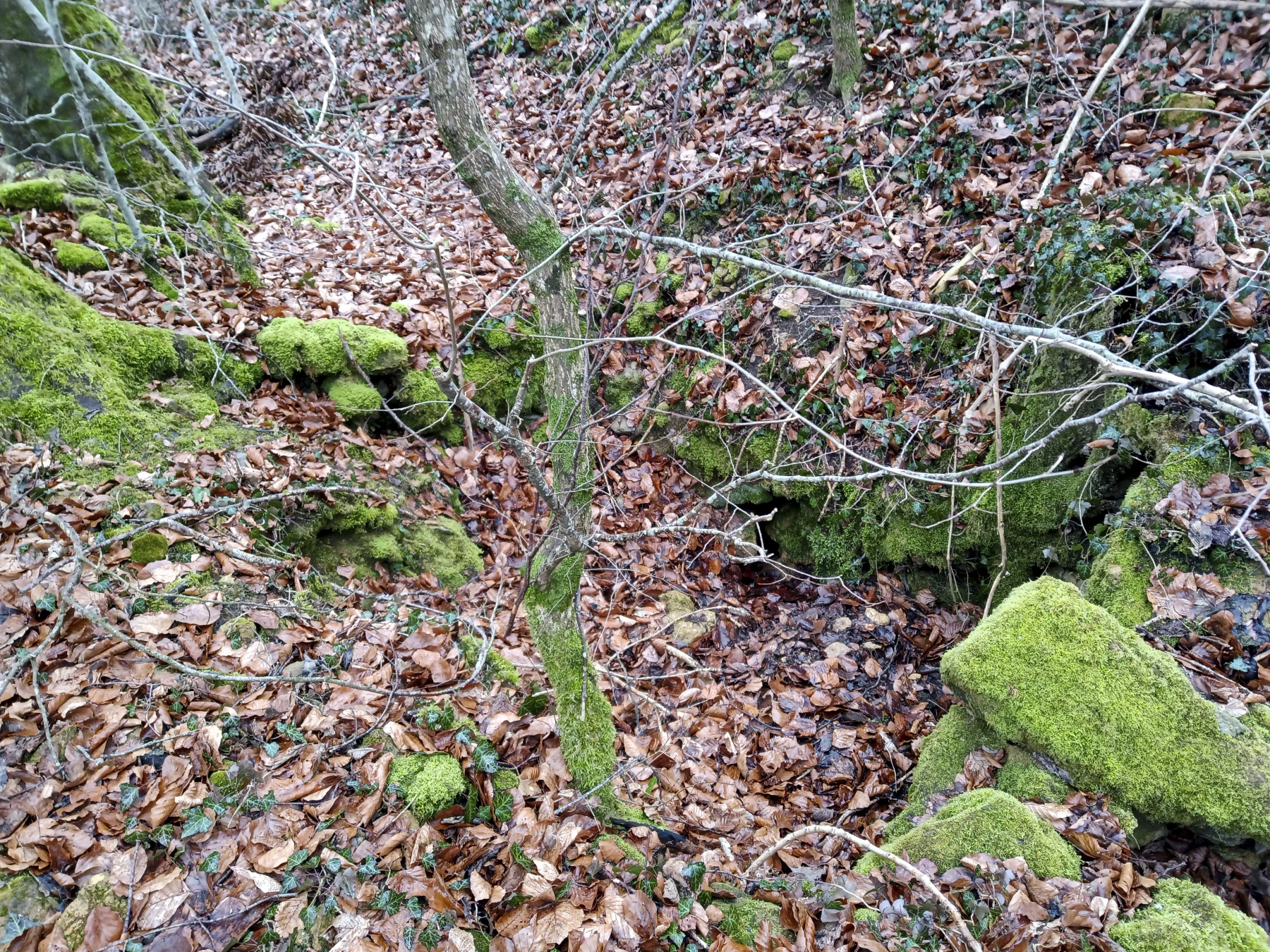 Ligne Maginot - CÔTE DE VIGNEULLES - (Observatoire d'artillerie) - Tranchée d'accès - Marc Fossoul