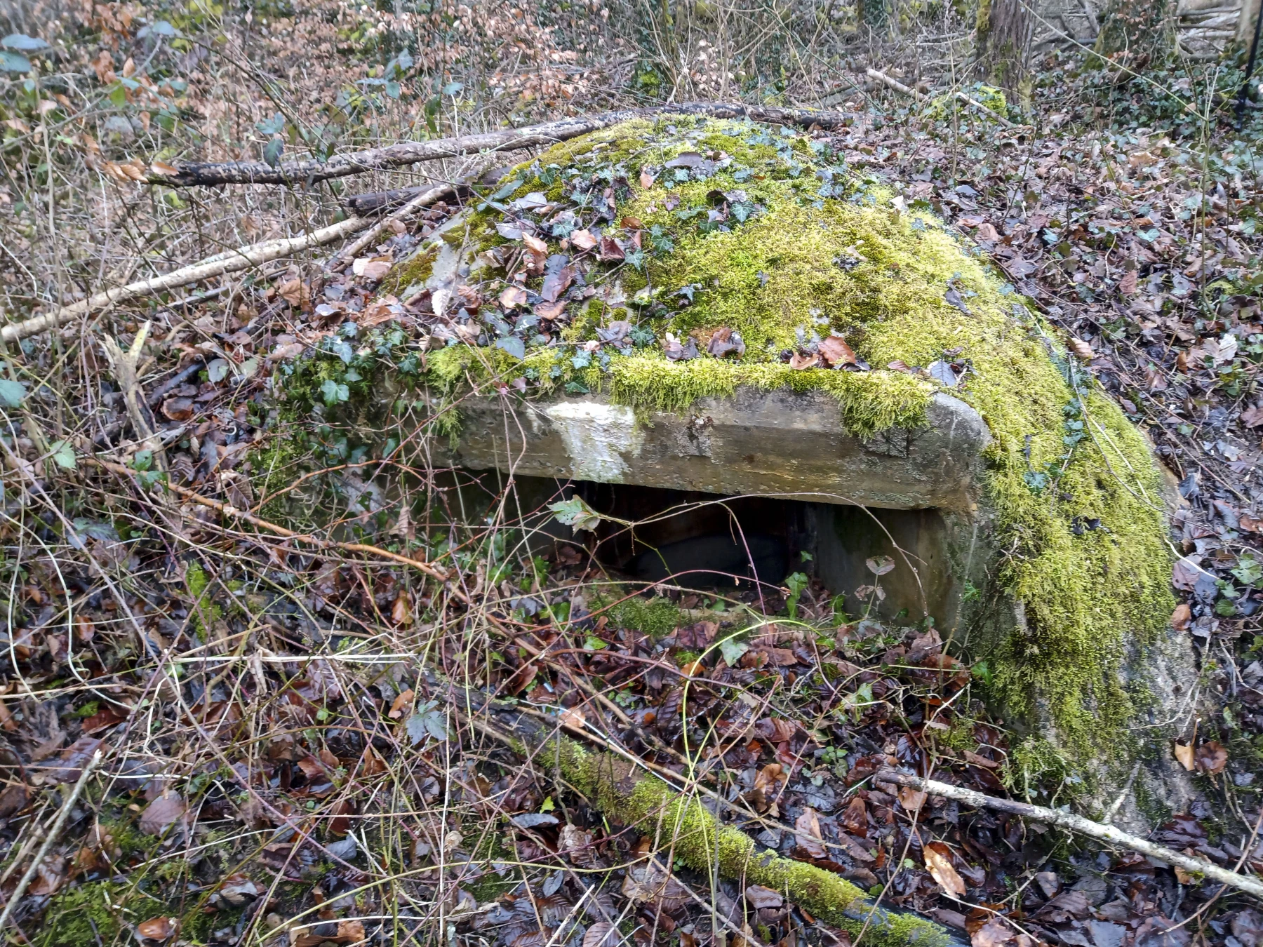 Ligne Maginot - CÔTE DE VIGNEULLES - (Observatoire d'artillerie) - Ouverture d'observation - Marc Fossoul