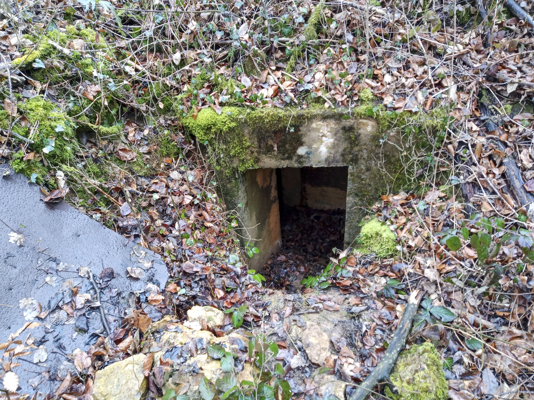 Ligne Maginot - CÔTE DE VIGNEULLES - (Observatoire d'artillerie) - L'entrée - Marc Fossoul