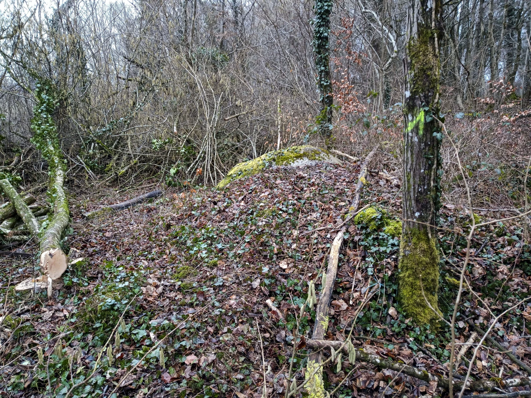 Ligne Maginot - CÔTE DE VIGNEULLES - (Observatoire d'artillerie) - Le dôme de l'observatoire - Marc Fossoul