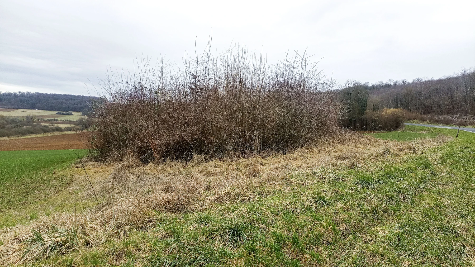 Ligne Maginot - 24 - (Chambre de coupure) - L'élévation du terrain indique l'emplacement de la chambre de coupure - Marc Fossoul