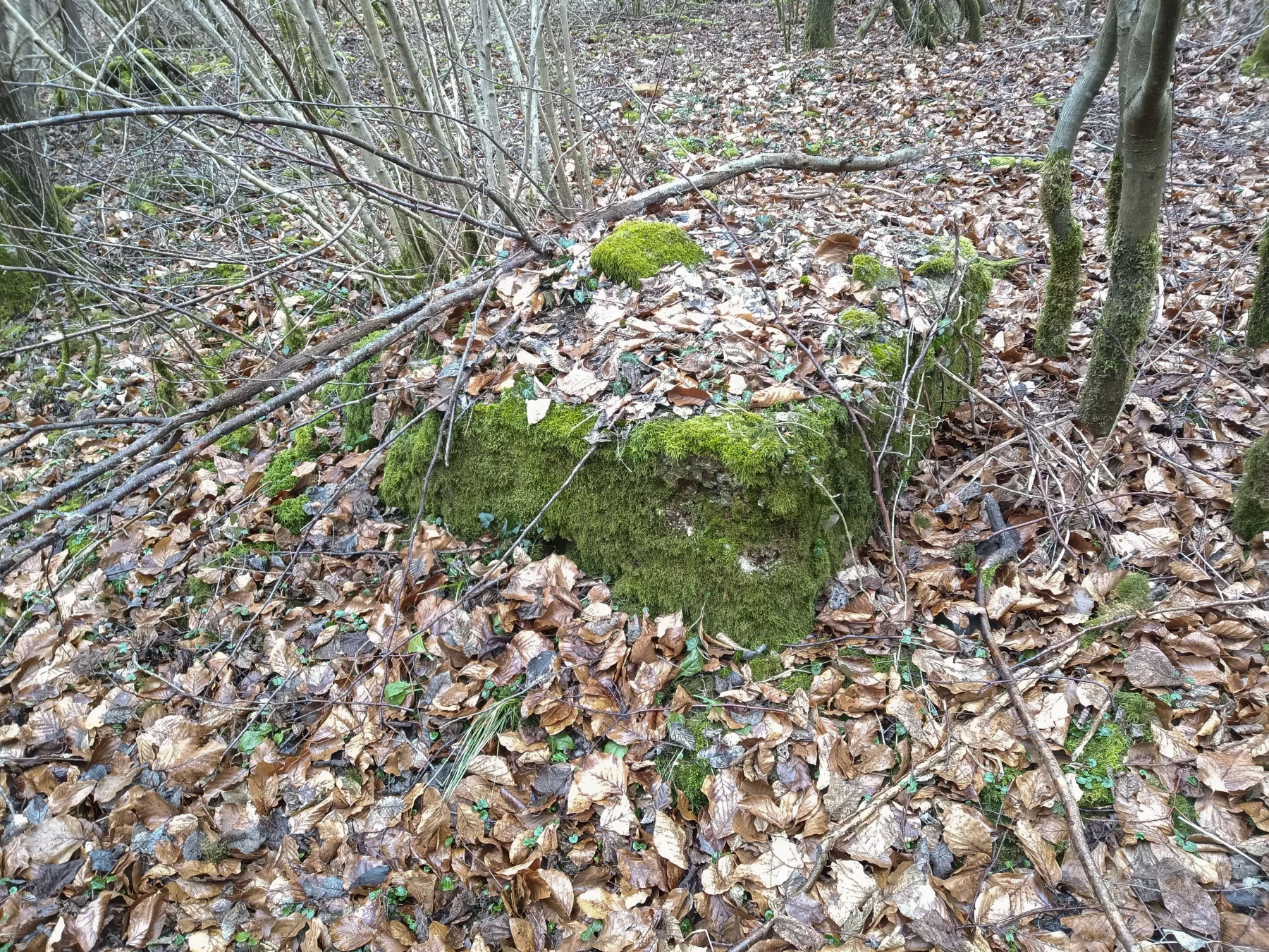 Ligne Maginot - BOIS de SIGNY 2 - (Abri) - Environnement
Bloc en beton  - Marc Fossoul