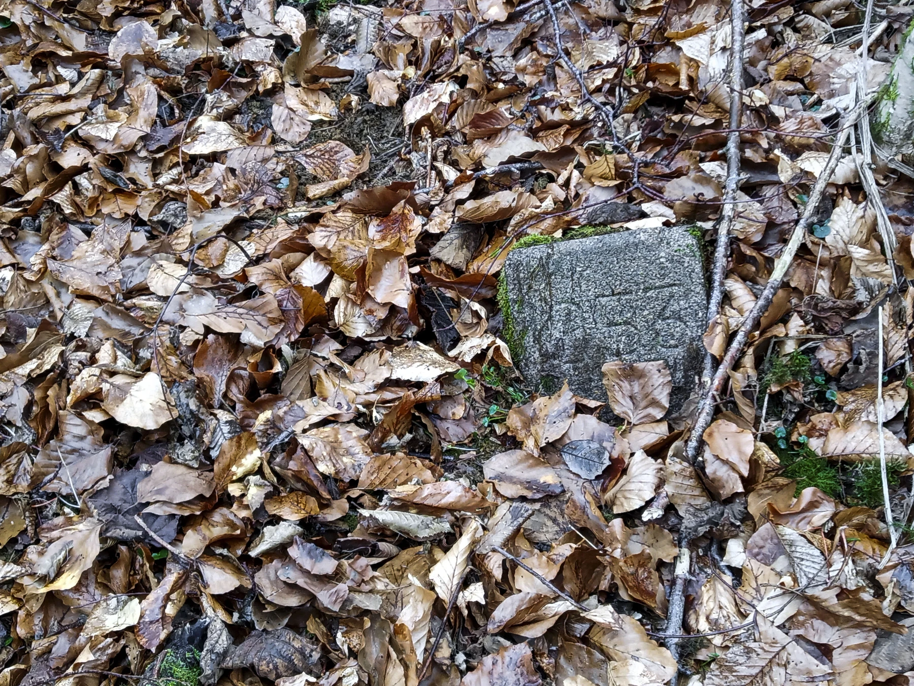 Ligne Maginot - BOIS de SIGNY 2 - (Abri) - Environnement
Borne - Marc Fossoul