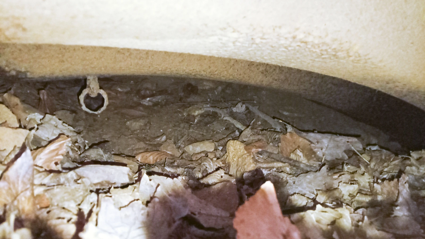 Ligne Maginot - BOIS DE SIGNY 2 - (Abri) -  - Marc Fossoul